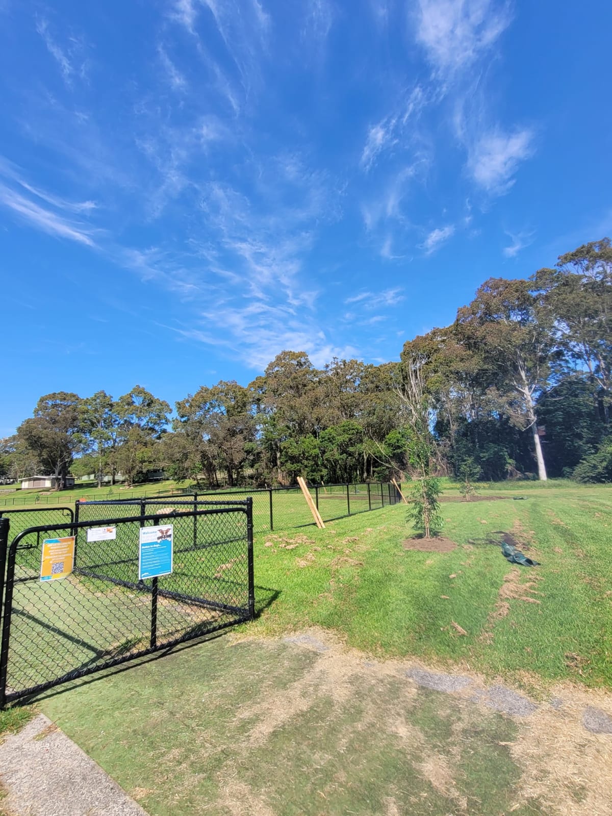 Top 3 Parks with Off-Leash Dog Areas  post image