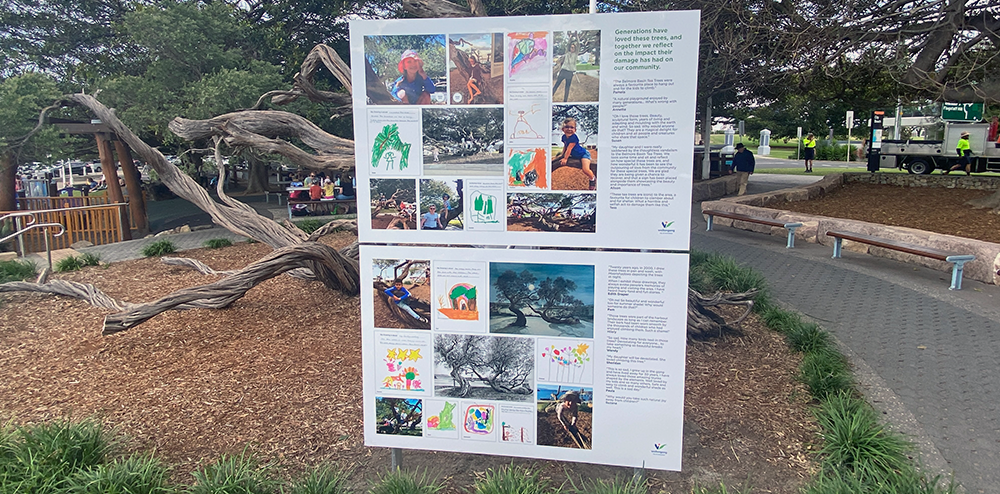 Murals illustrate community opposition to tree vandalism  post image