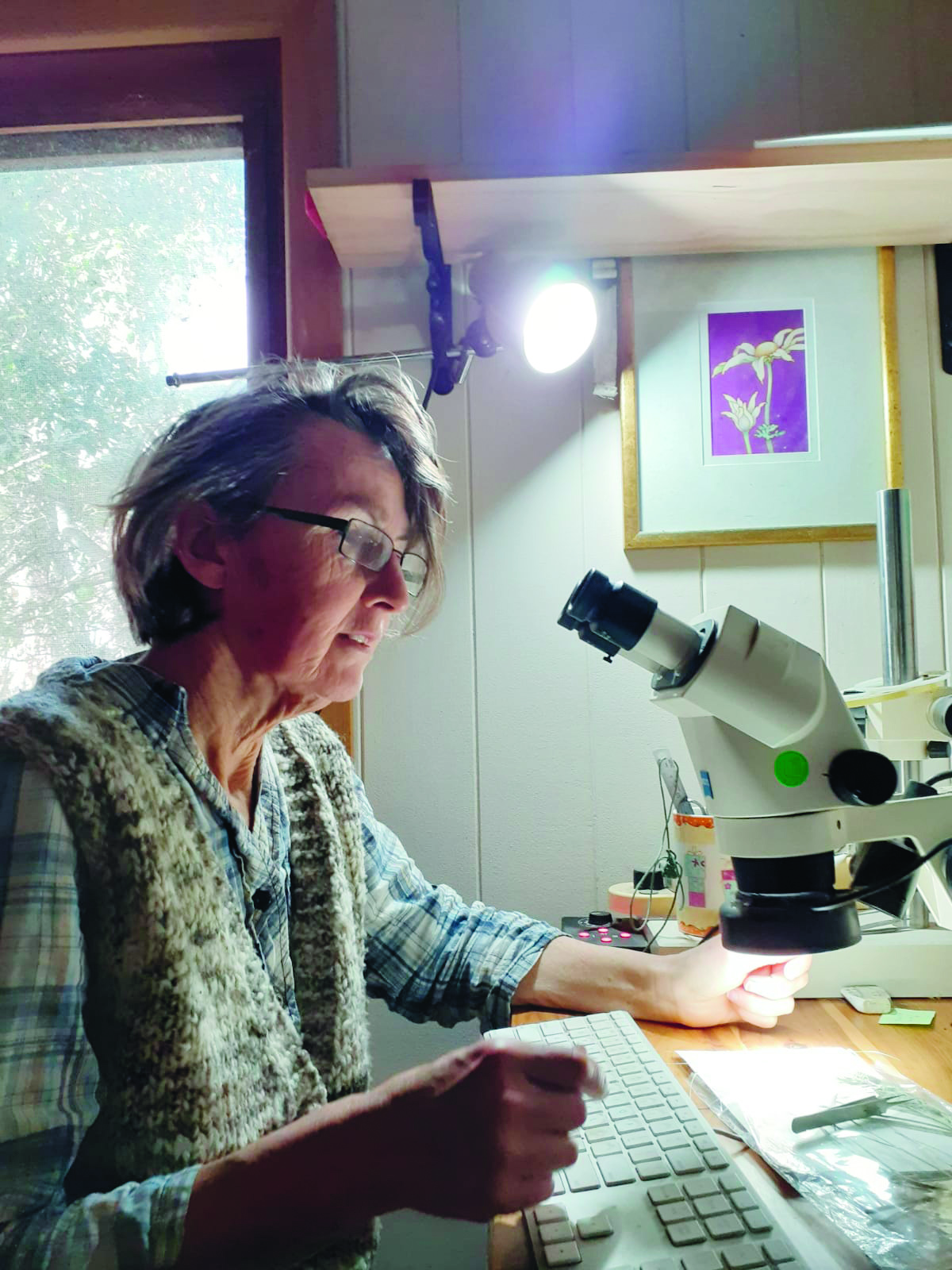 A co-op shop is a ‘weekly ritual’  post image