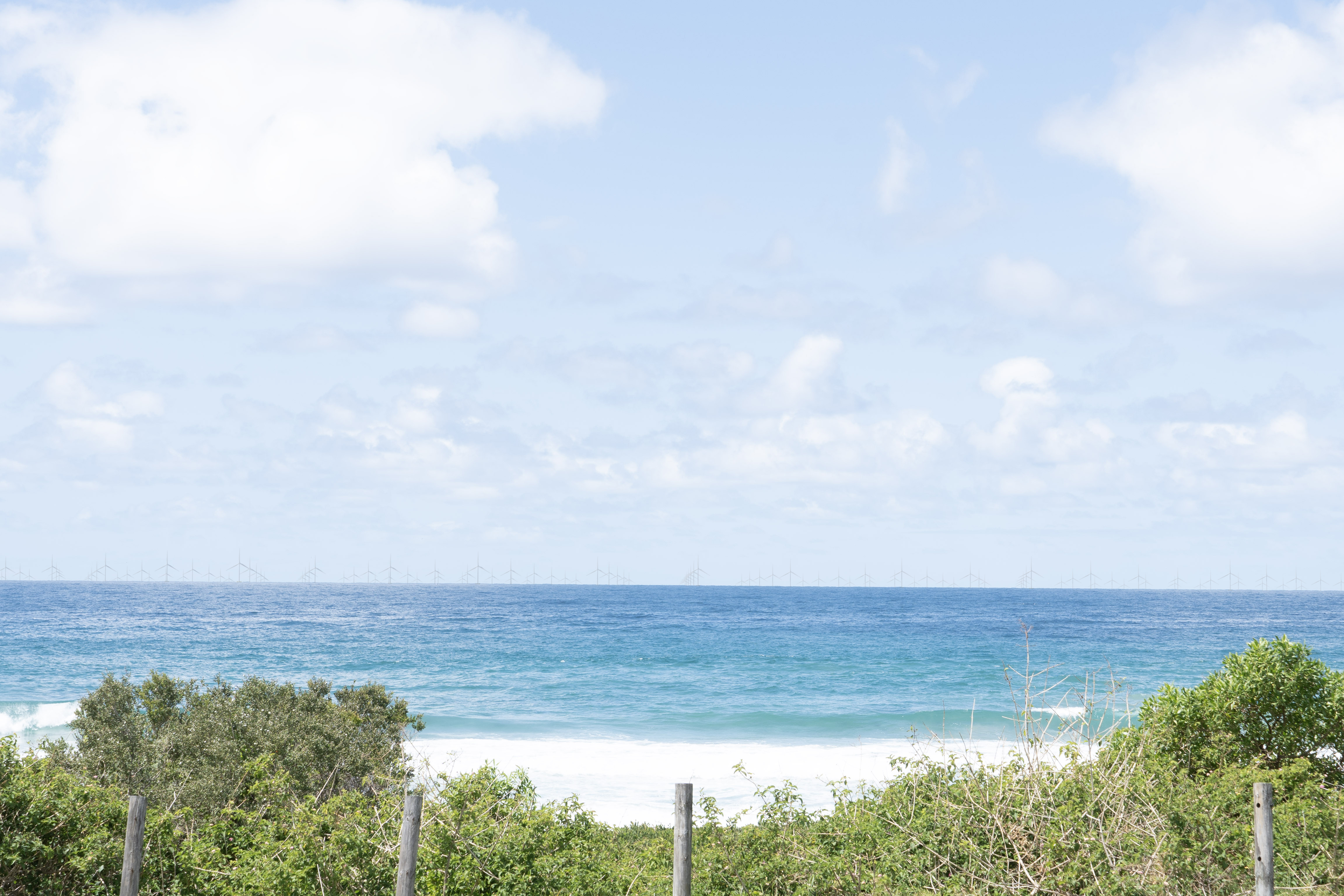 Alison Byrnes MP shares her submission on Illawarra's proposed offshore wind area  post image