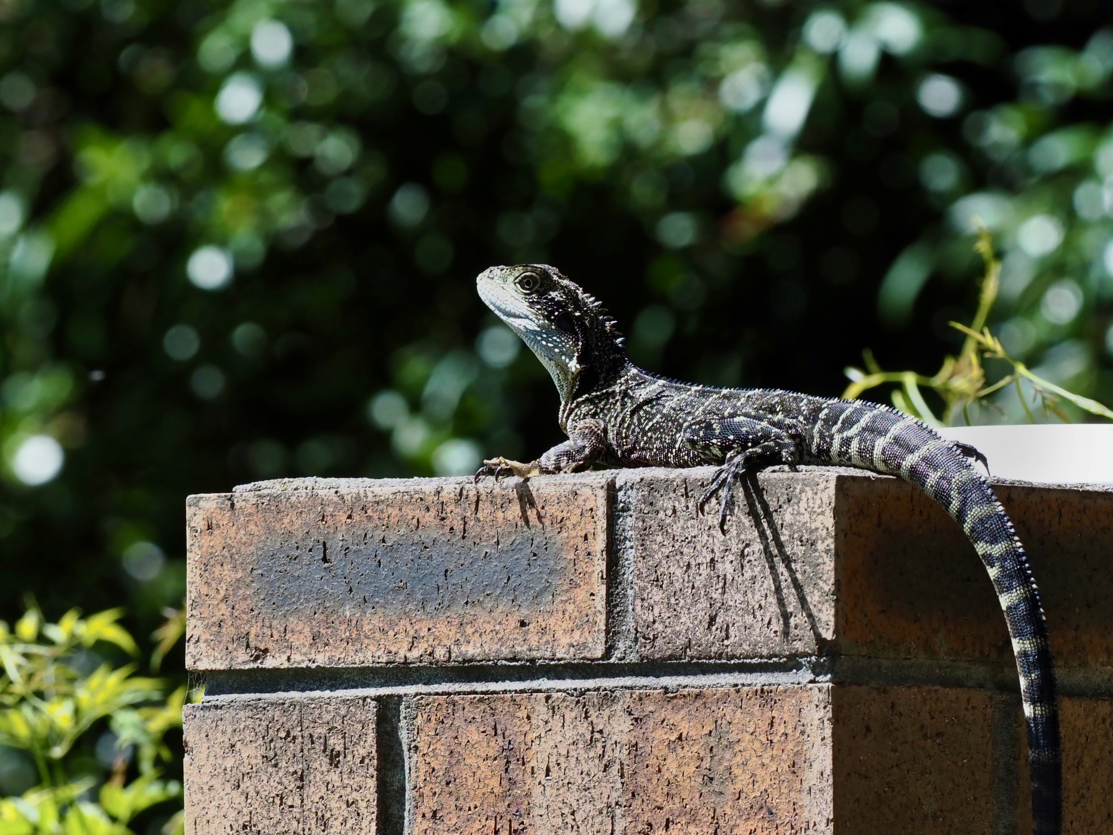 Welcome to Wednesday  post image