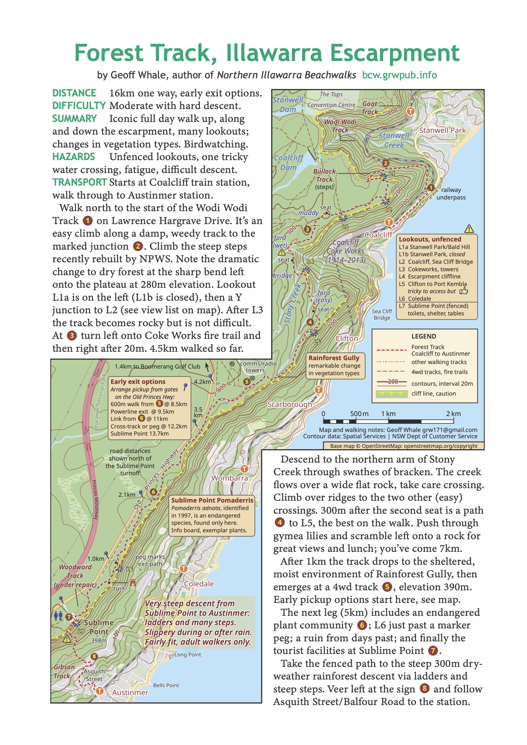 Take on the Forest Track, an iconic Illawarra bushwalk  post image