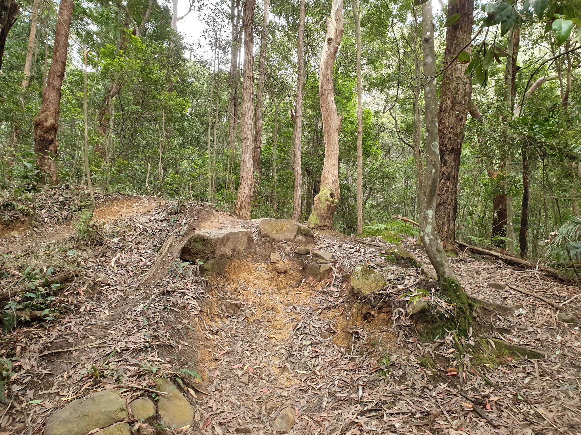 Mountain bikers, please stop!