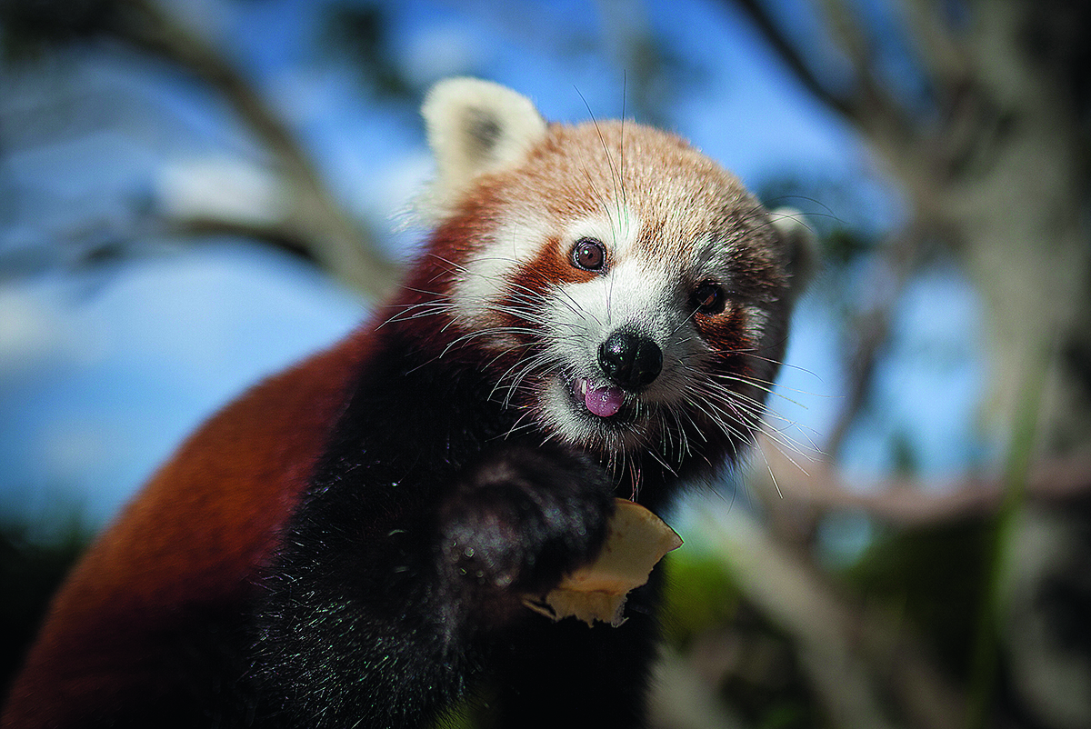 Pay it forward with Symbio