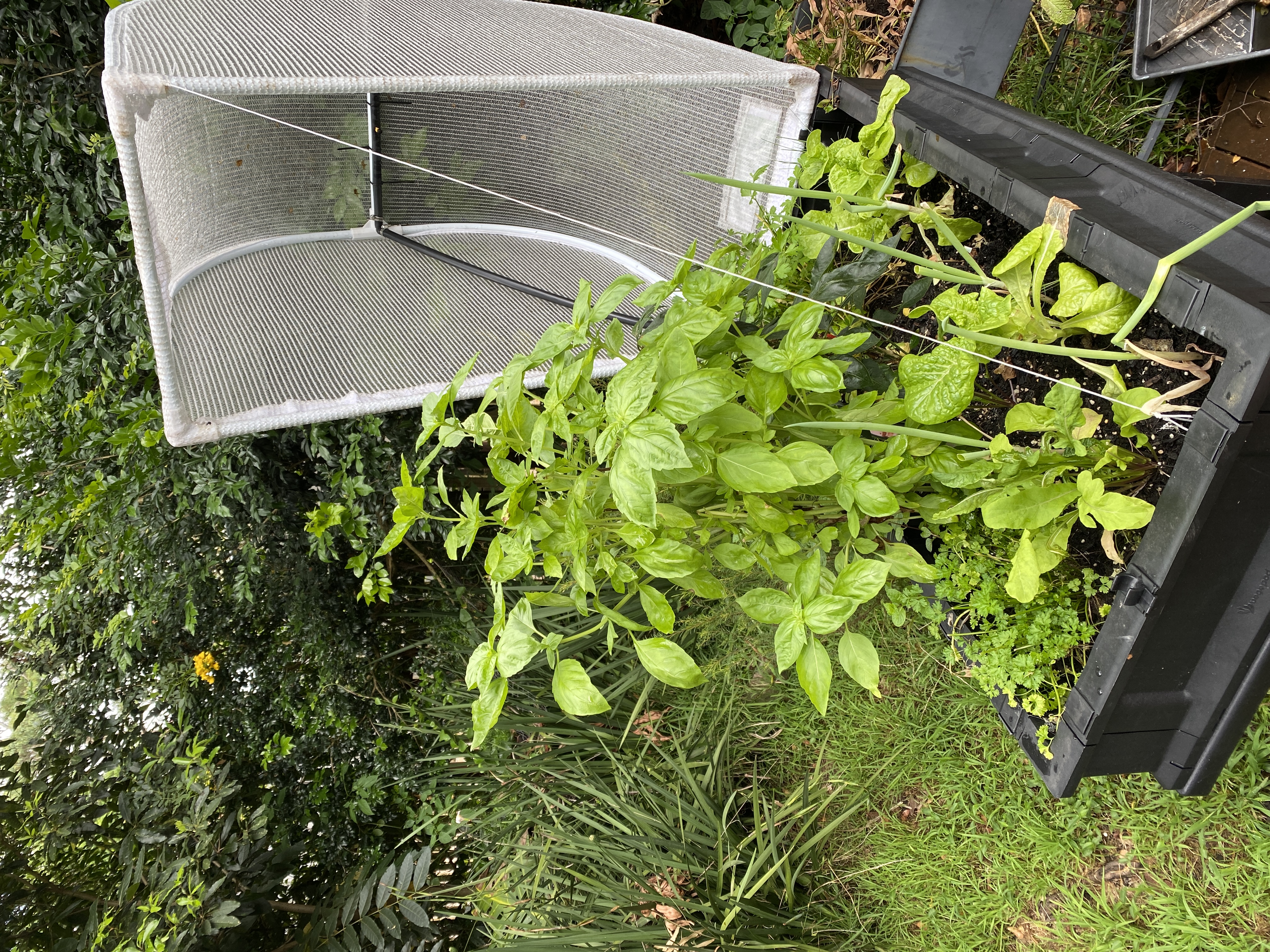 The science is in: gardening is good for your mental health and overall satisfaction