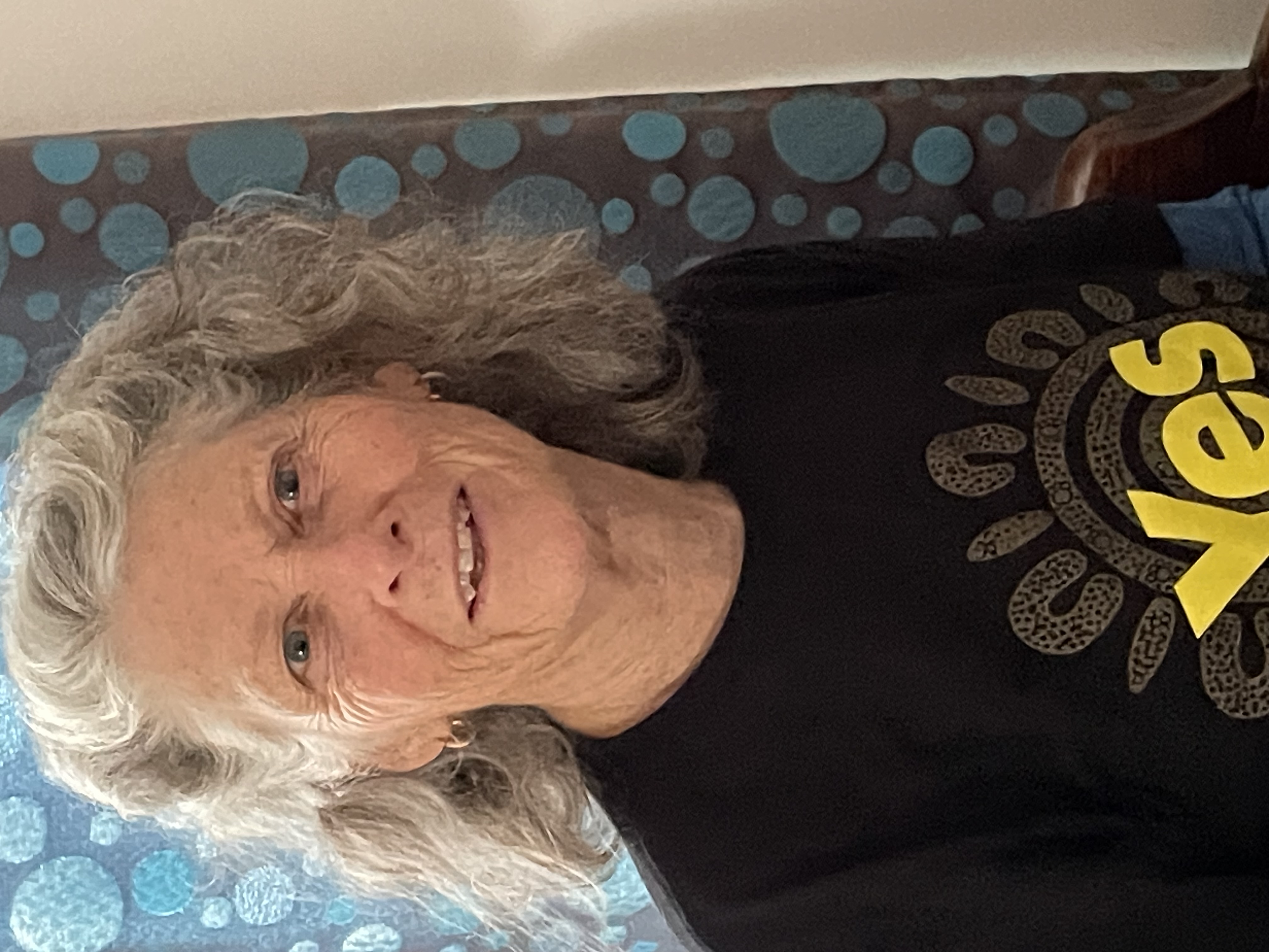 Annette's View on the Voice