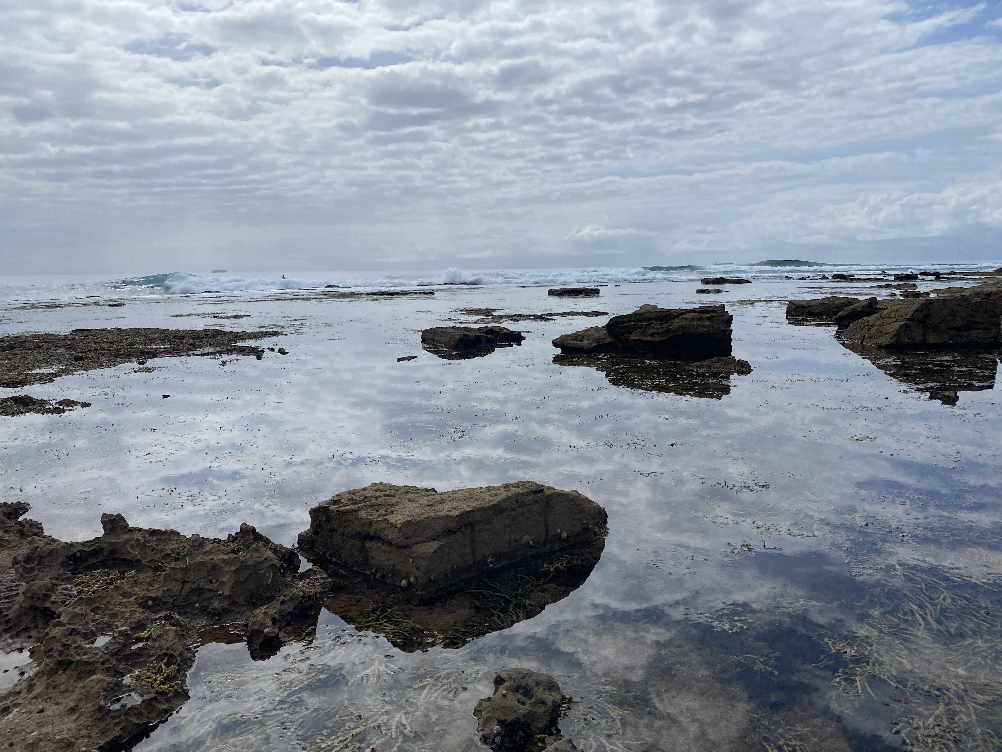 Hello, Wednesday readers  post image