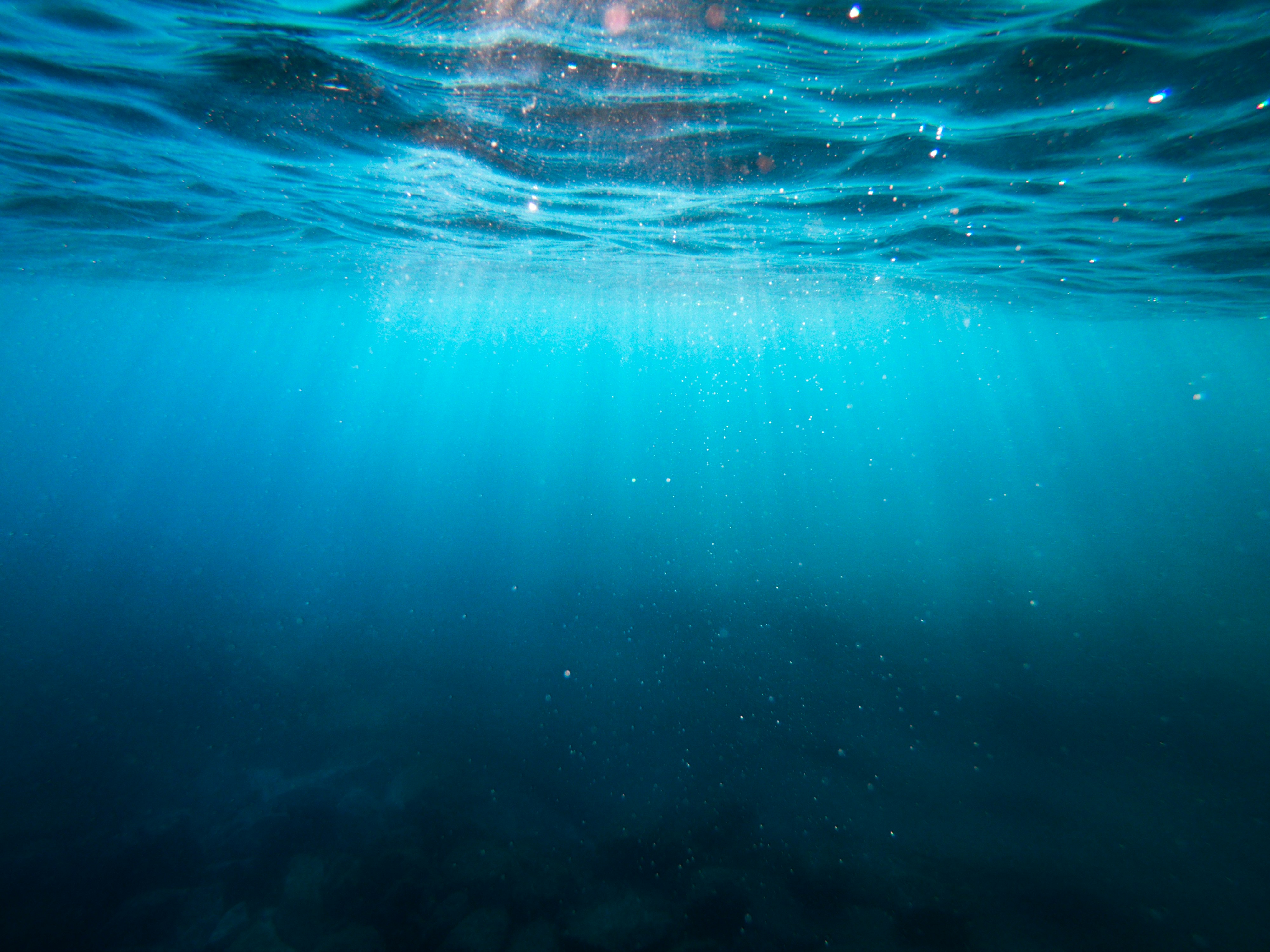 The historic High Seas Treaty is almost reality. Here’s what it would mean for ocean conservation