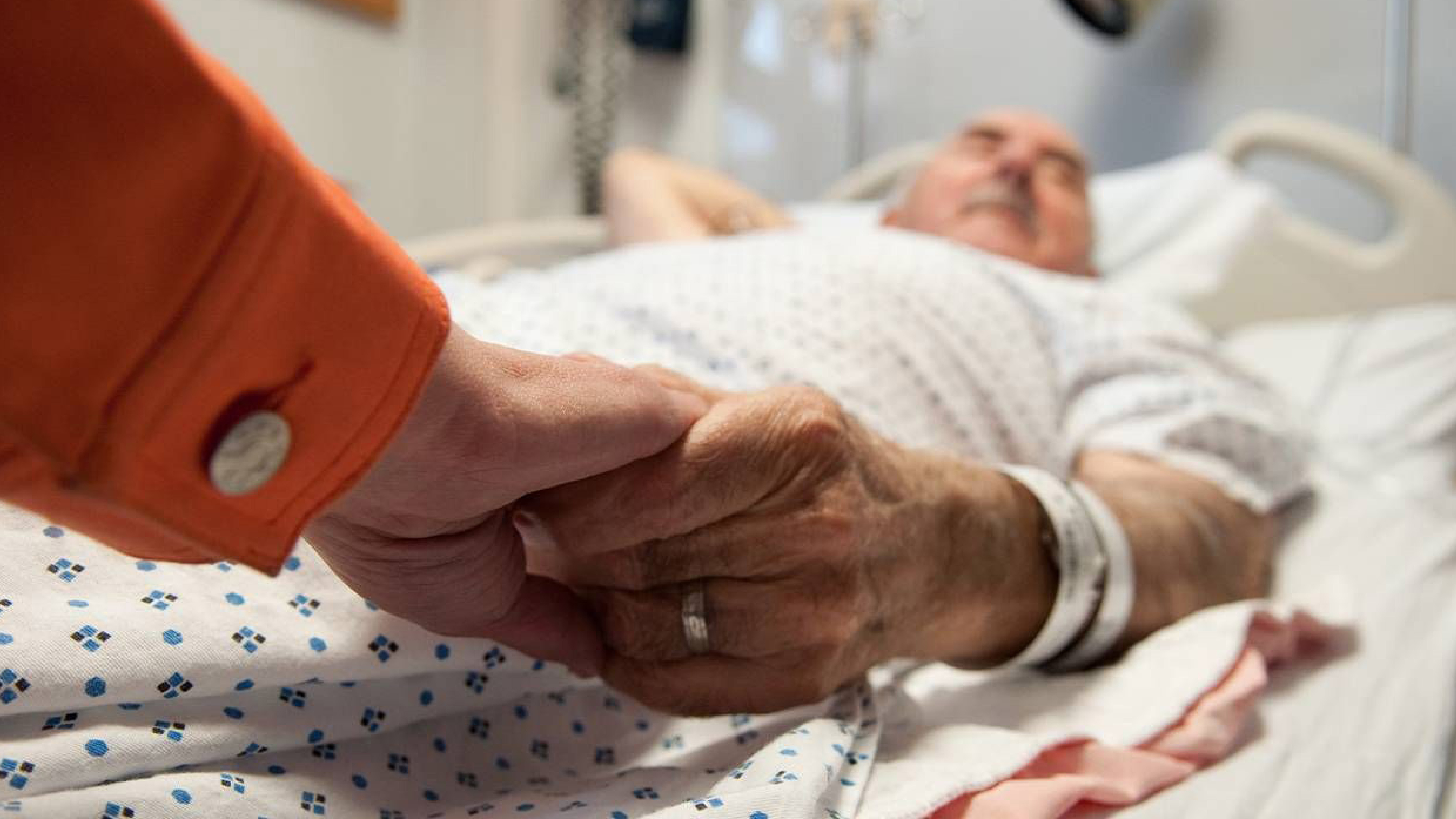 ‘The little peak that could’: How a local group is tackling the aged care crisis  post image