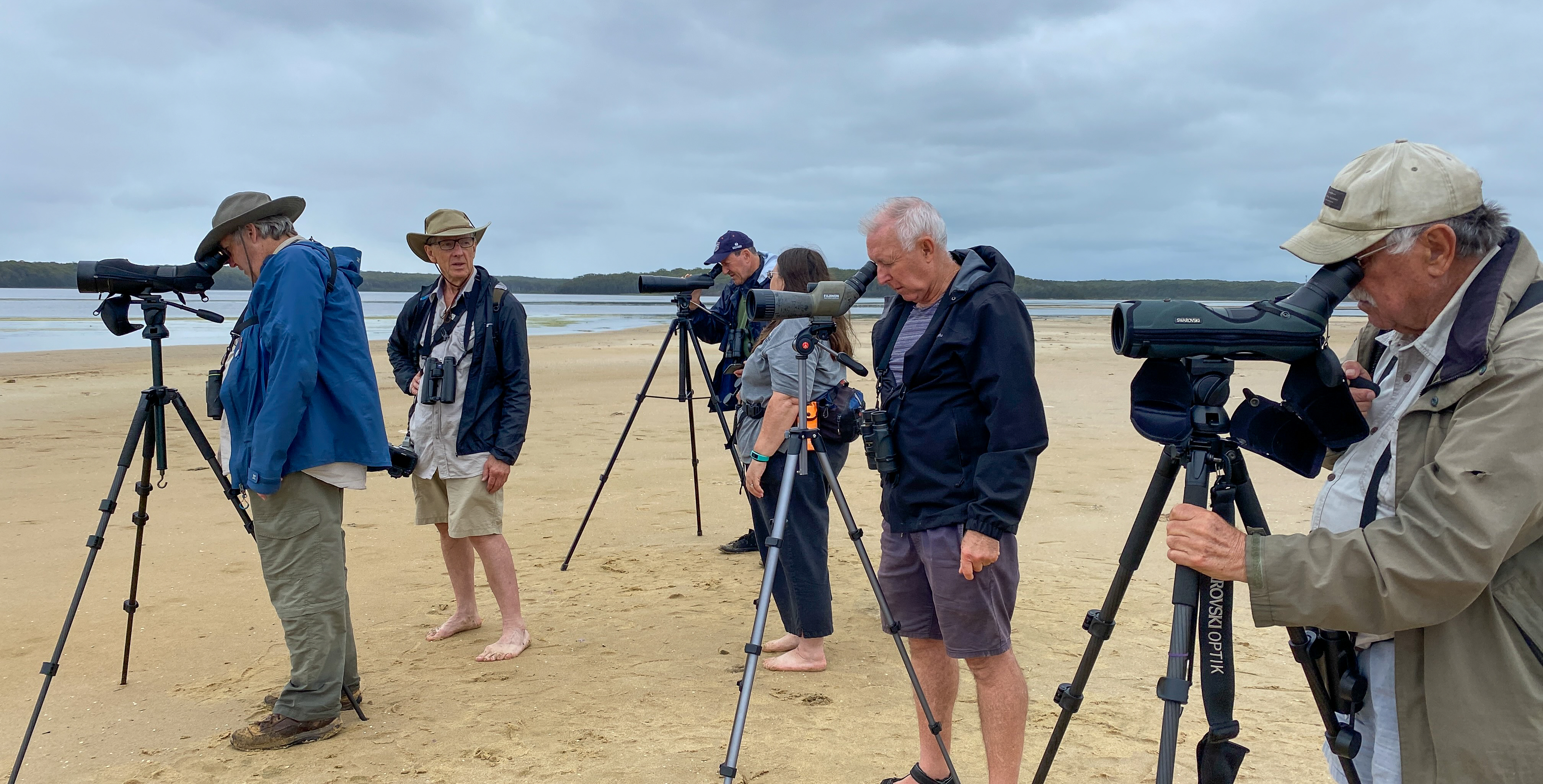 Birds of a feather watch together  post image