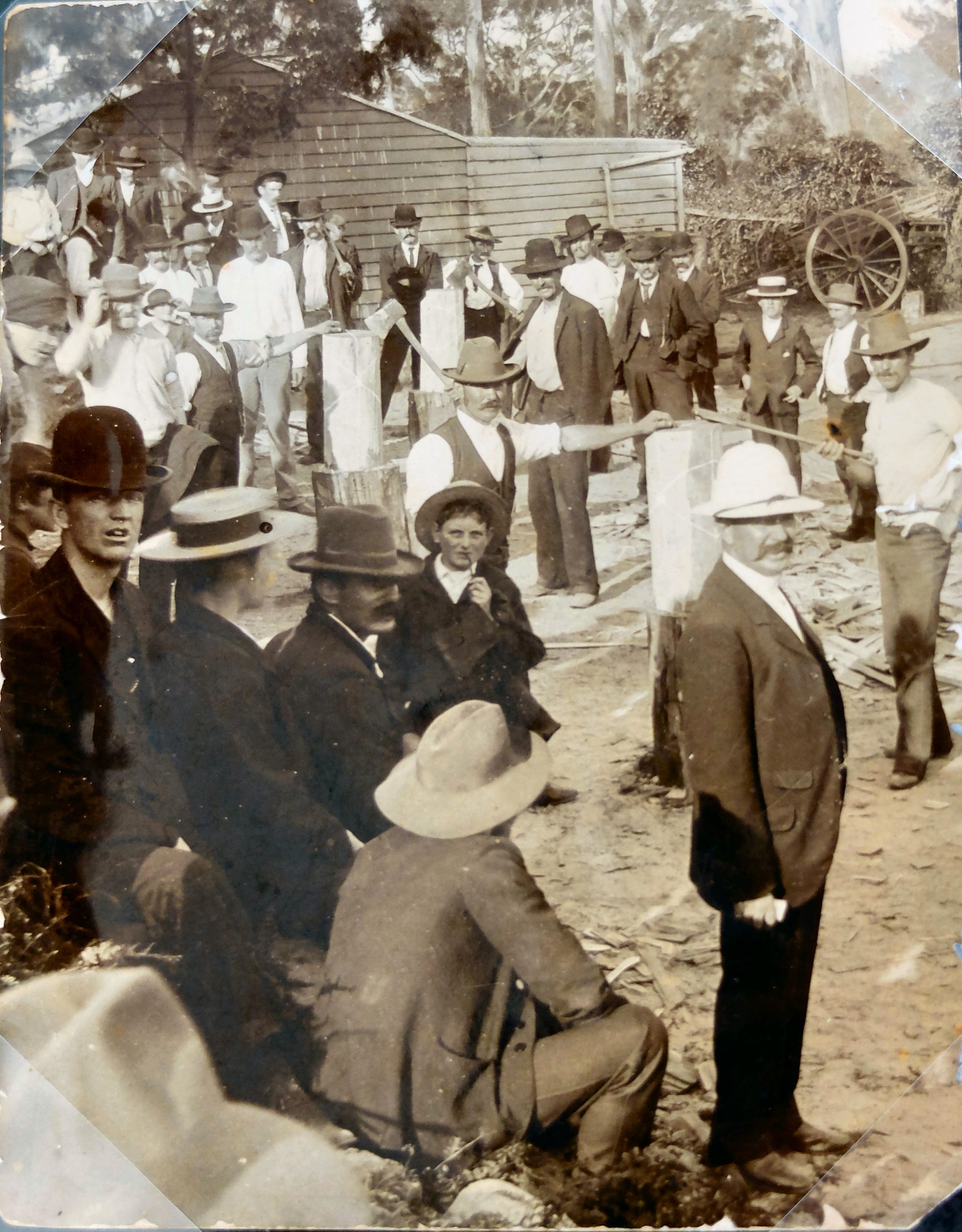 Timber Rolled Out and Money Rolled In