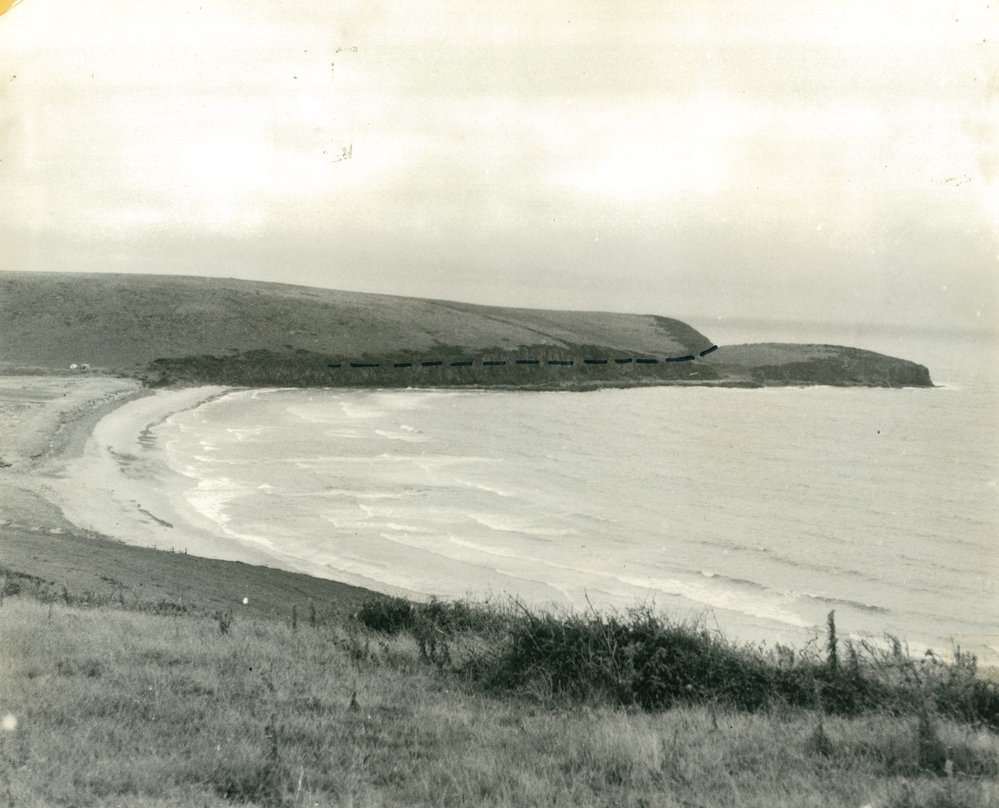 Discover history of NSW's Best Beach – The Farm, Killalea
