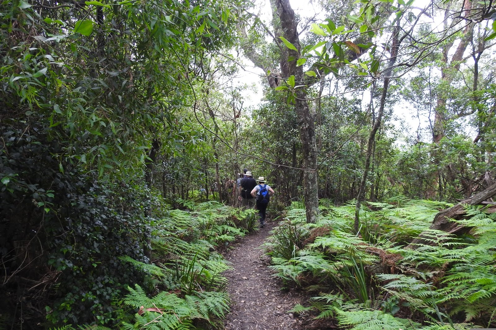 Top 5 Nature Walks  post image