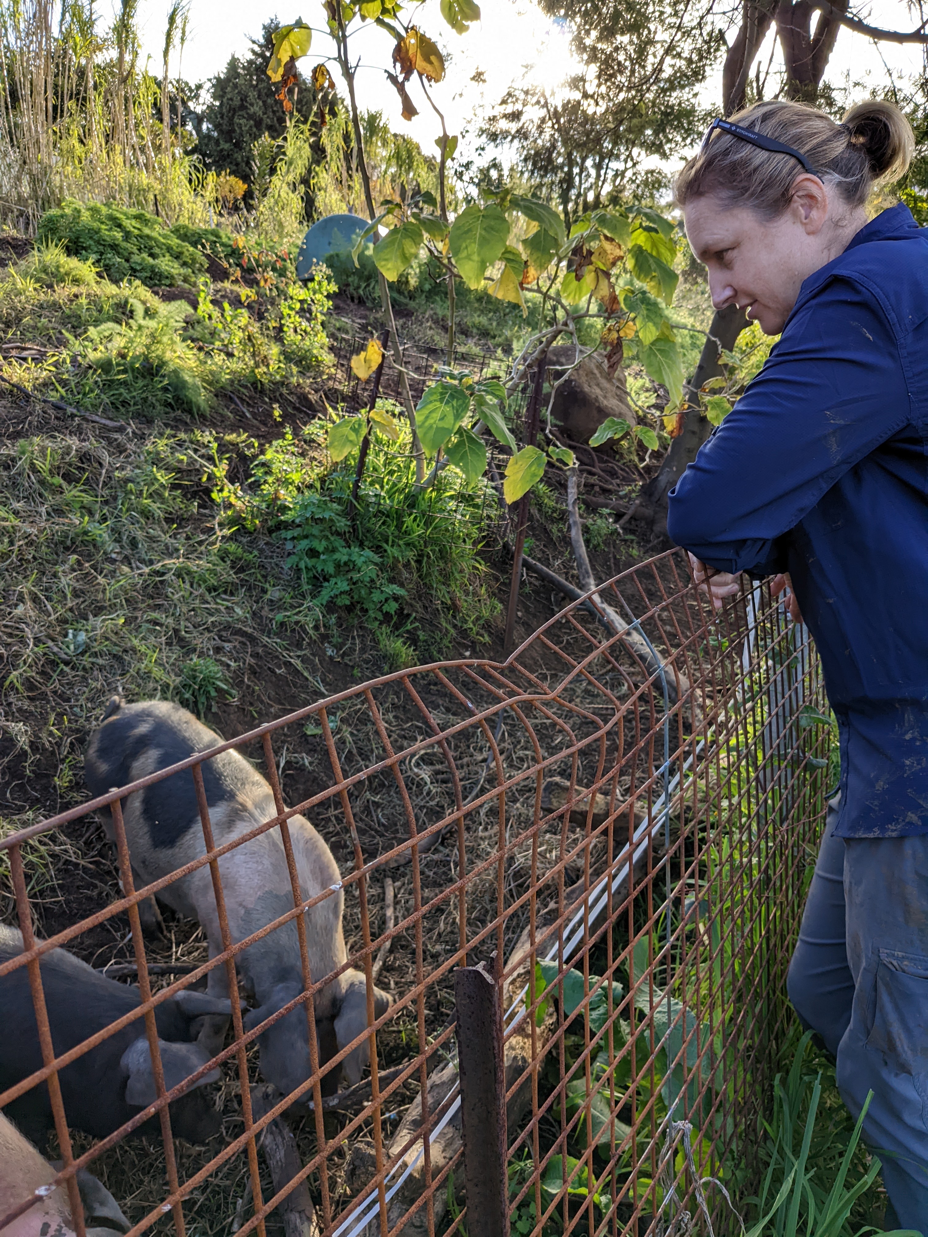 Permaculture in a nutshell  post image