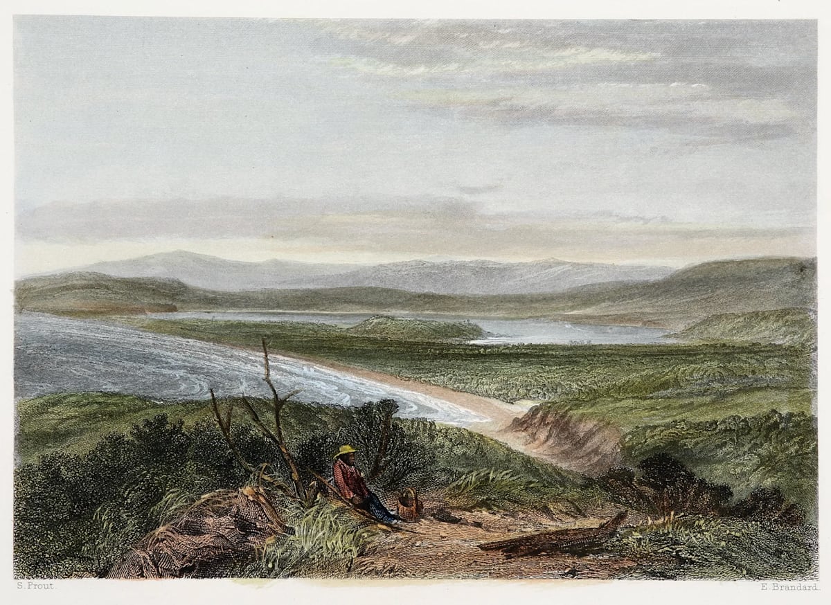 This image shows a hand-coloured engraving made by John Skinner Prout in the 1840s (and coloured in the 1870s). Lakes and lagoons are a feature of the NSW coastline, and some, such as Lake Illawarra, have not yet been extensively developed, although some development and modification has occurred. Others, such as Tom Thumb Lagoon, which was very important to First Nations peoples in the Illawarra, have been transformed or destroyed by industrial or residential development.