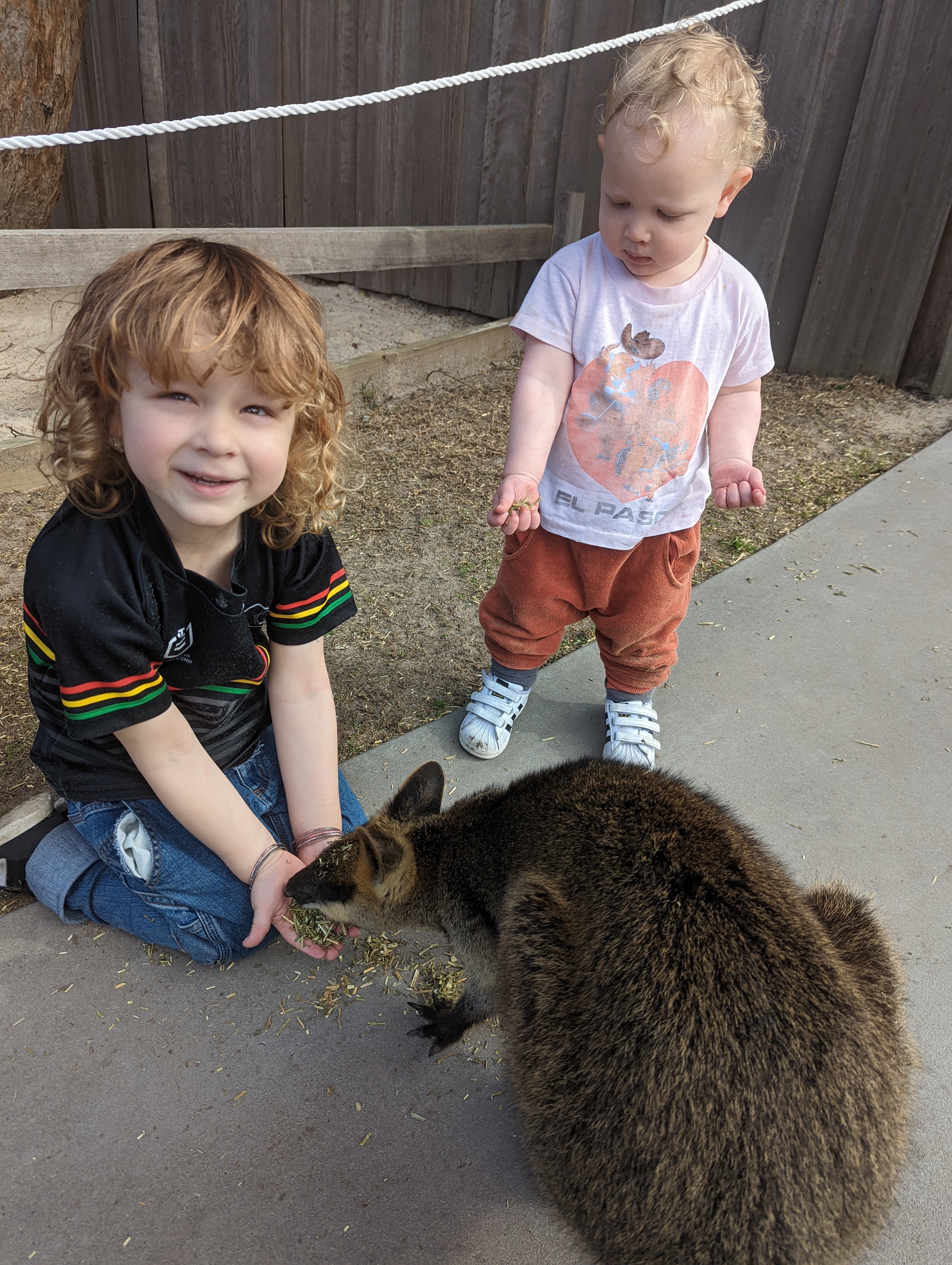 'Symbio is the perfect size for kids'