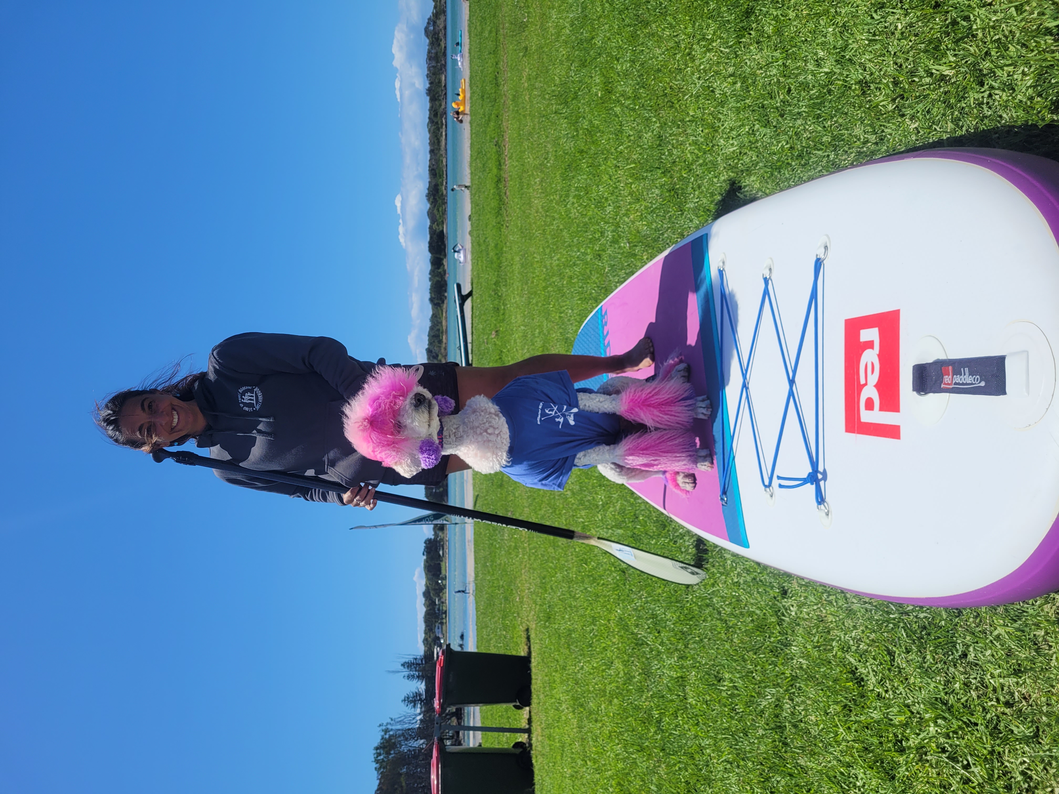 'SUP? Apart from paddlers, pups and the surf?  post image