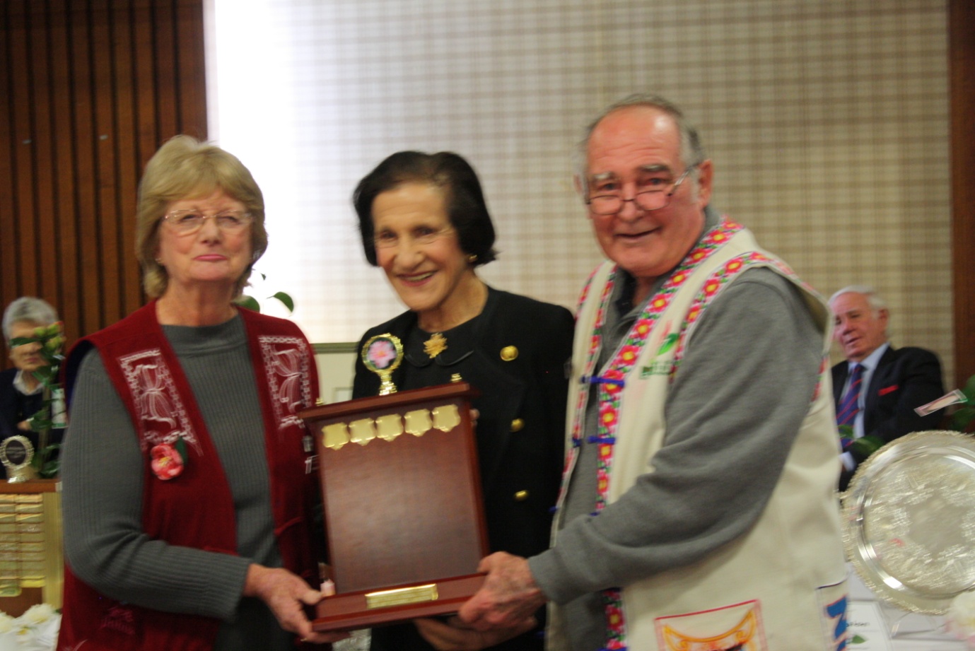 A Camellia Showstopper