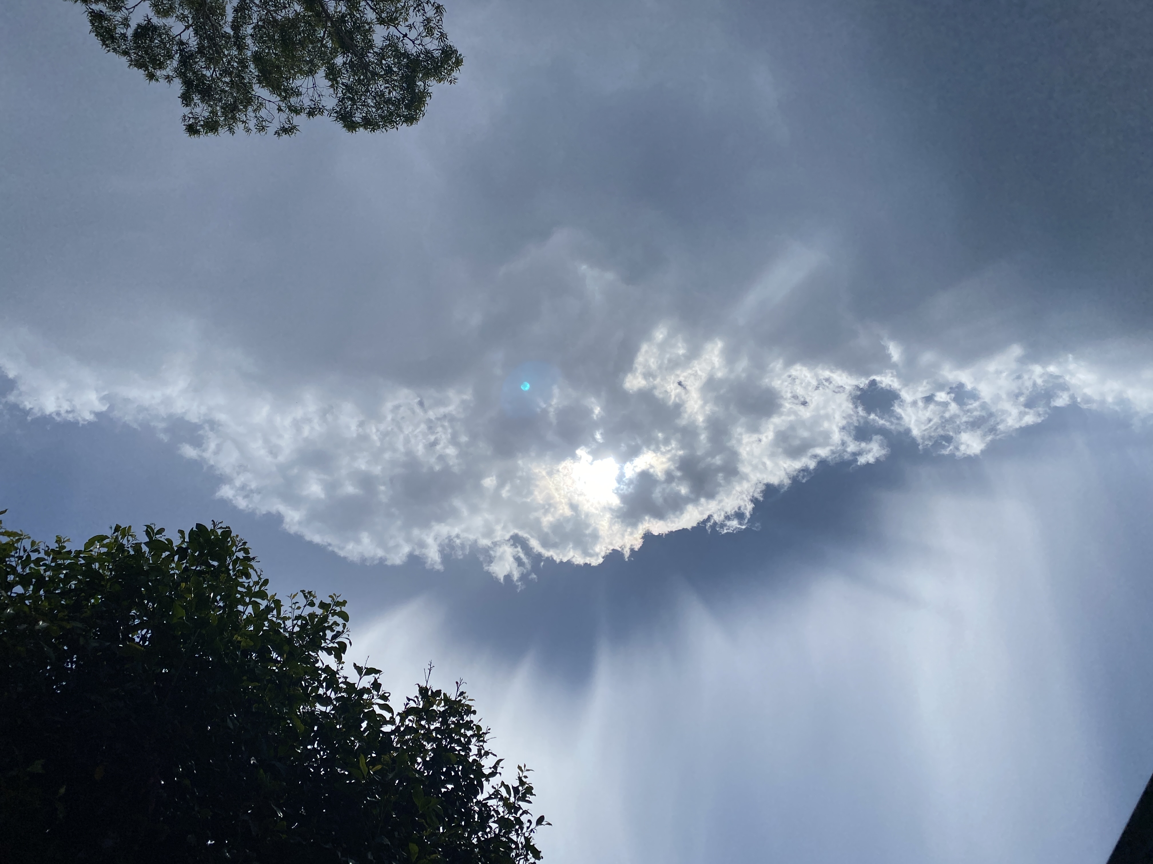 Hello to another Wild Wednesday  post image