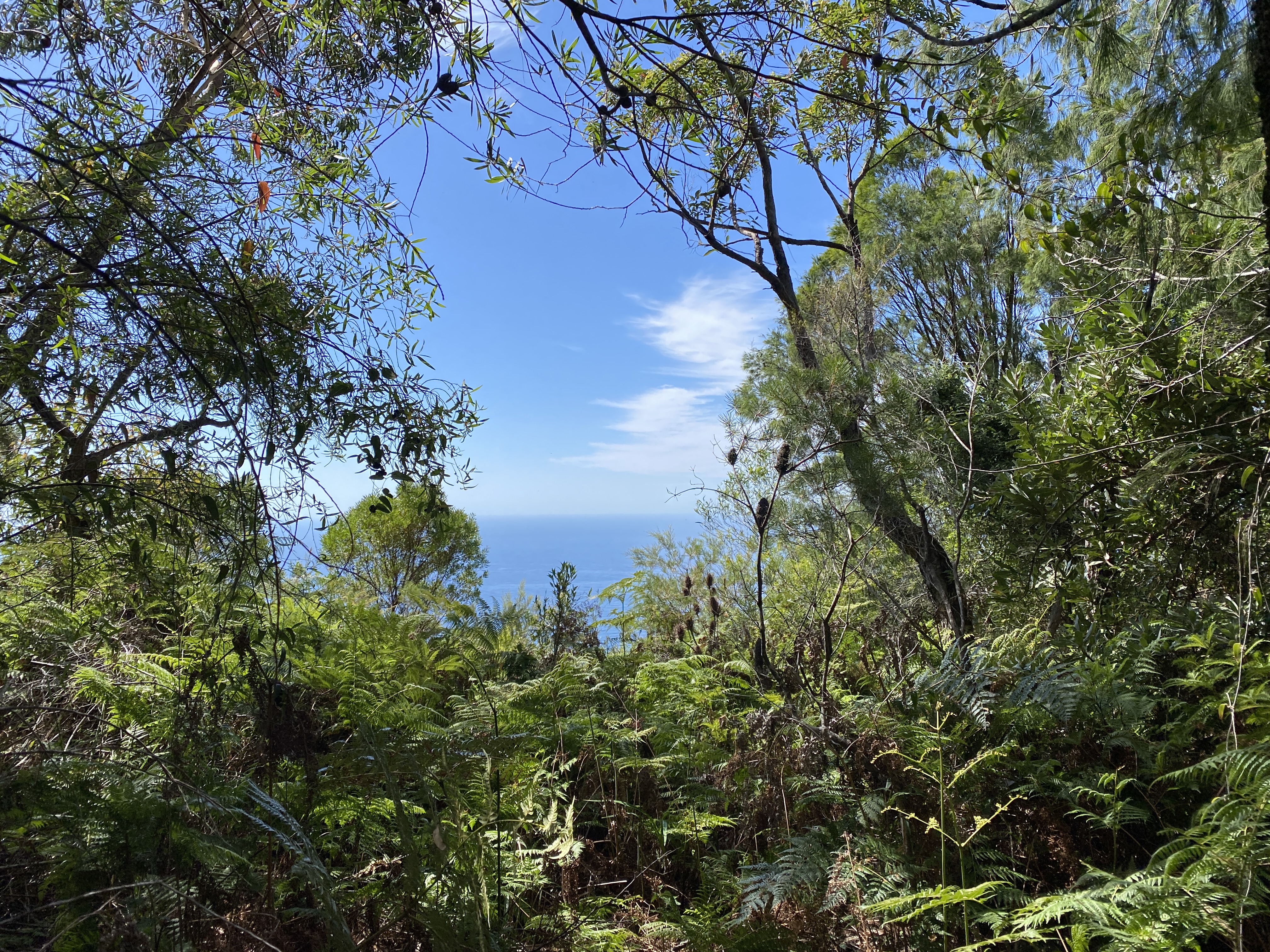 Cheers to another Wednesday  post image