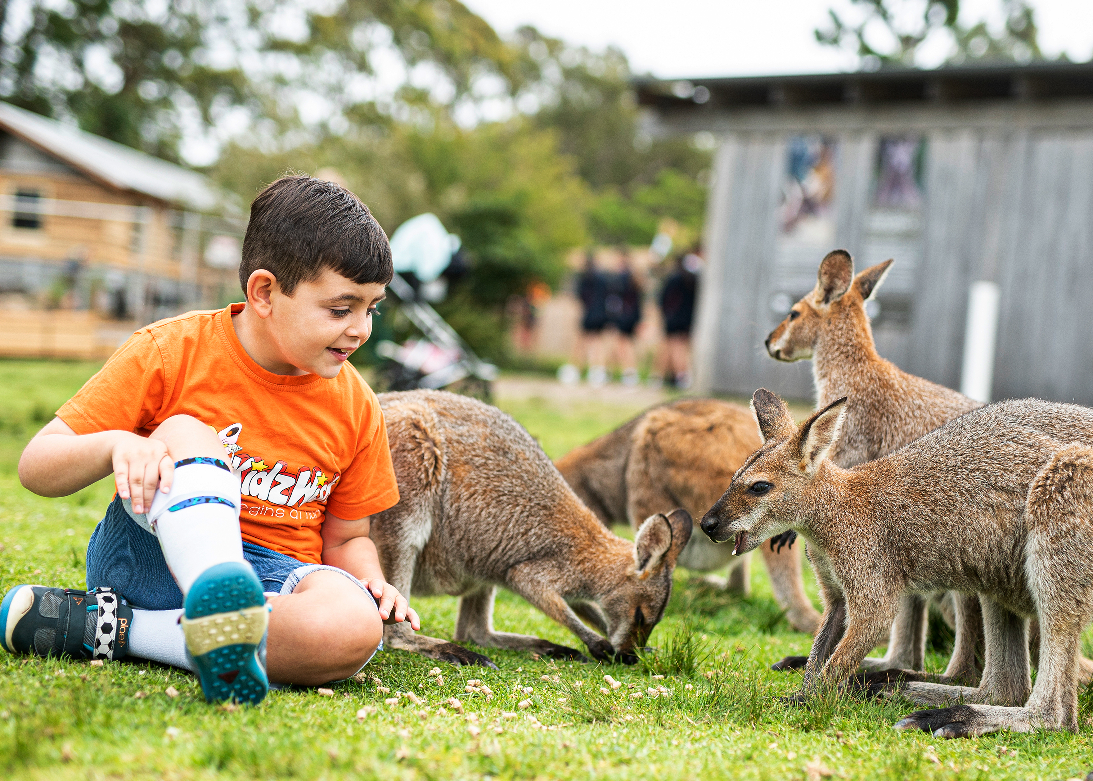 Give joy to children