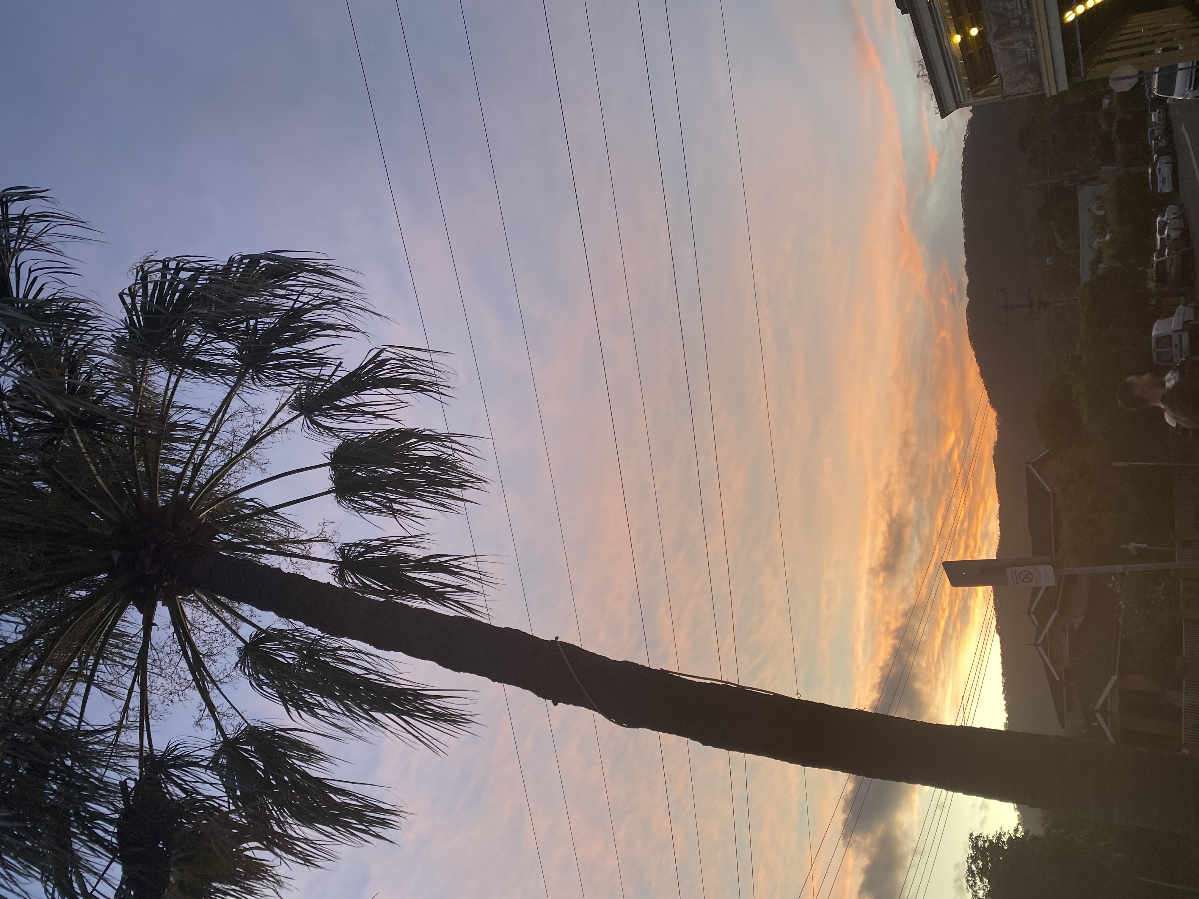 Hello, Wednesday readers  post image