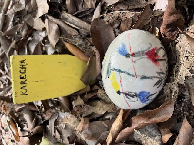 Banksia Bushcare solves African art mystery with AI