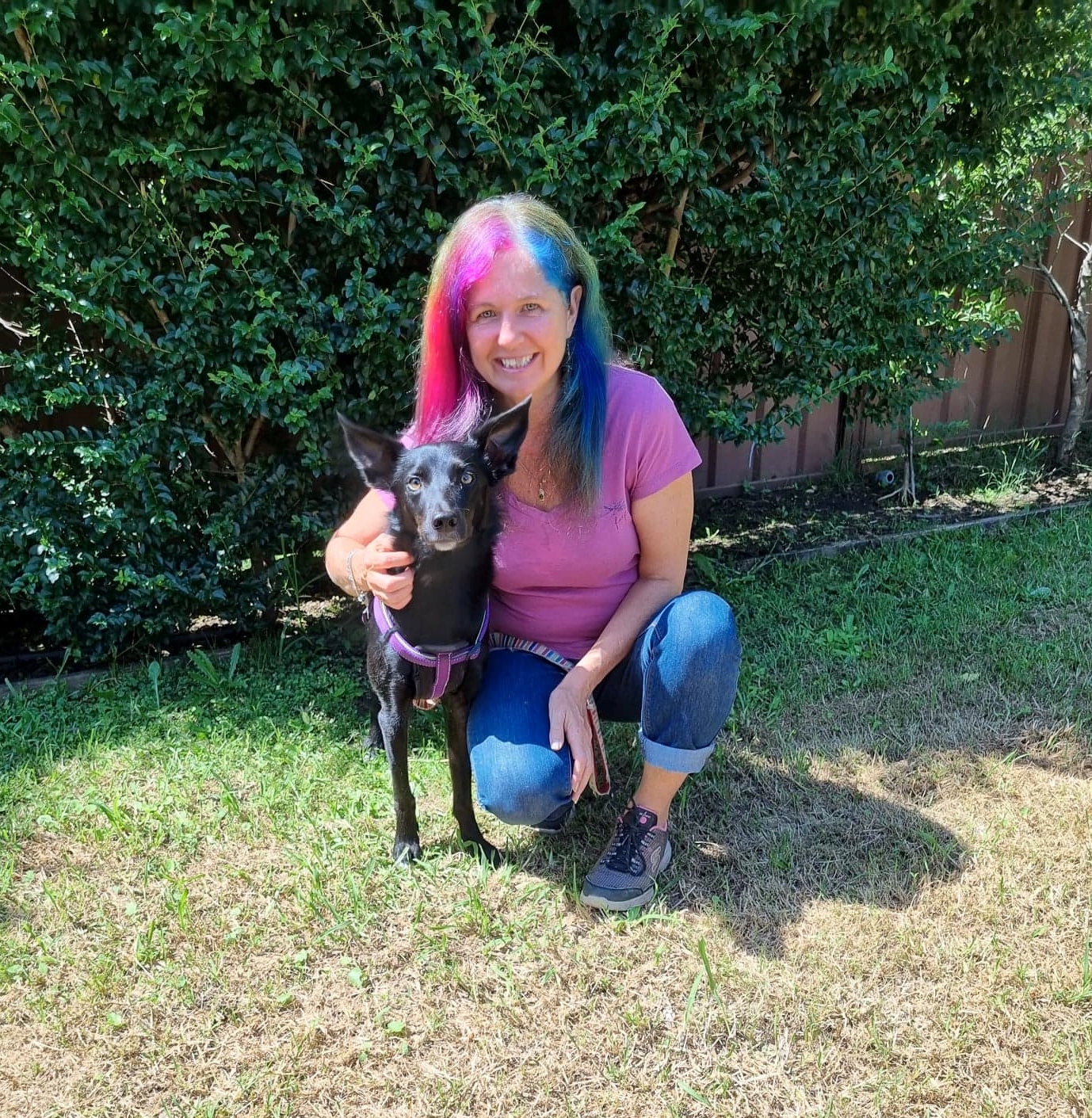 A counsellor’s best friend  post image