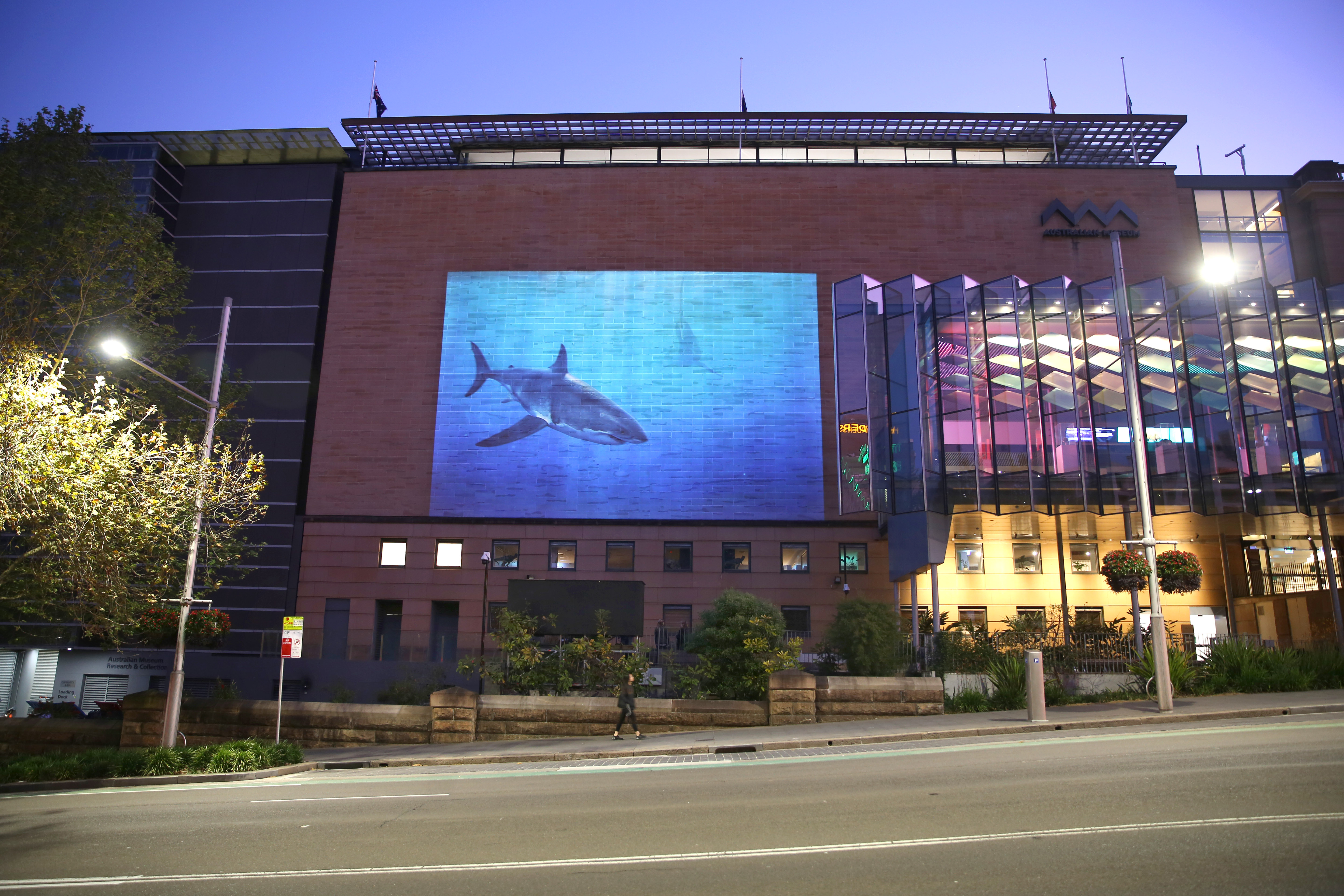 Listening for sharks