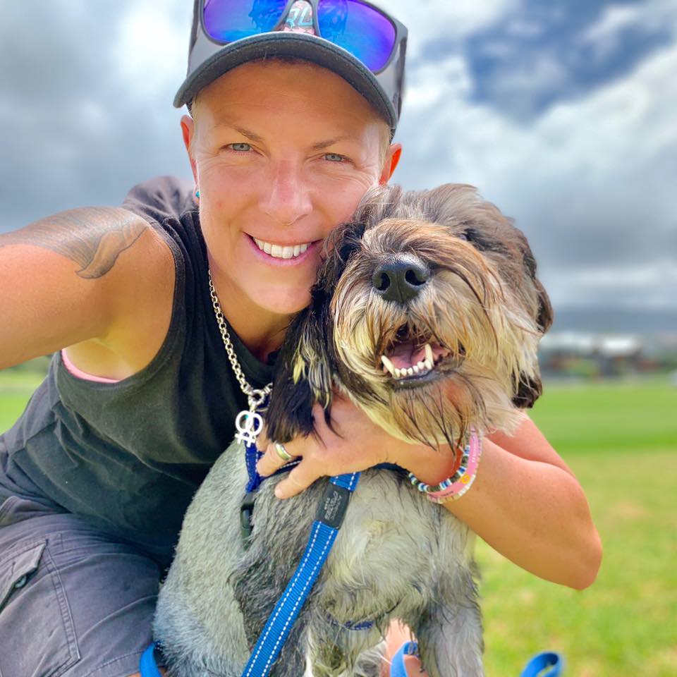 Day in the life of a dog walker  post image