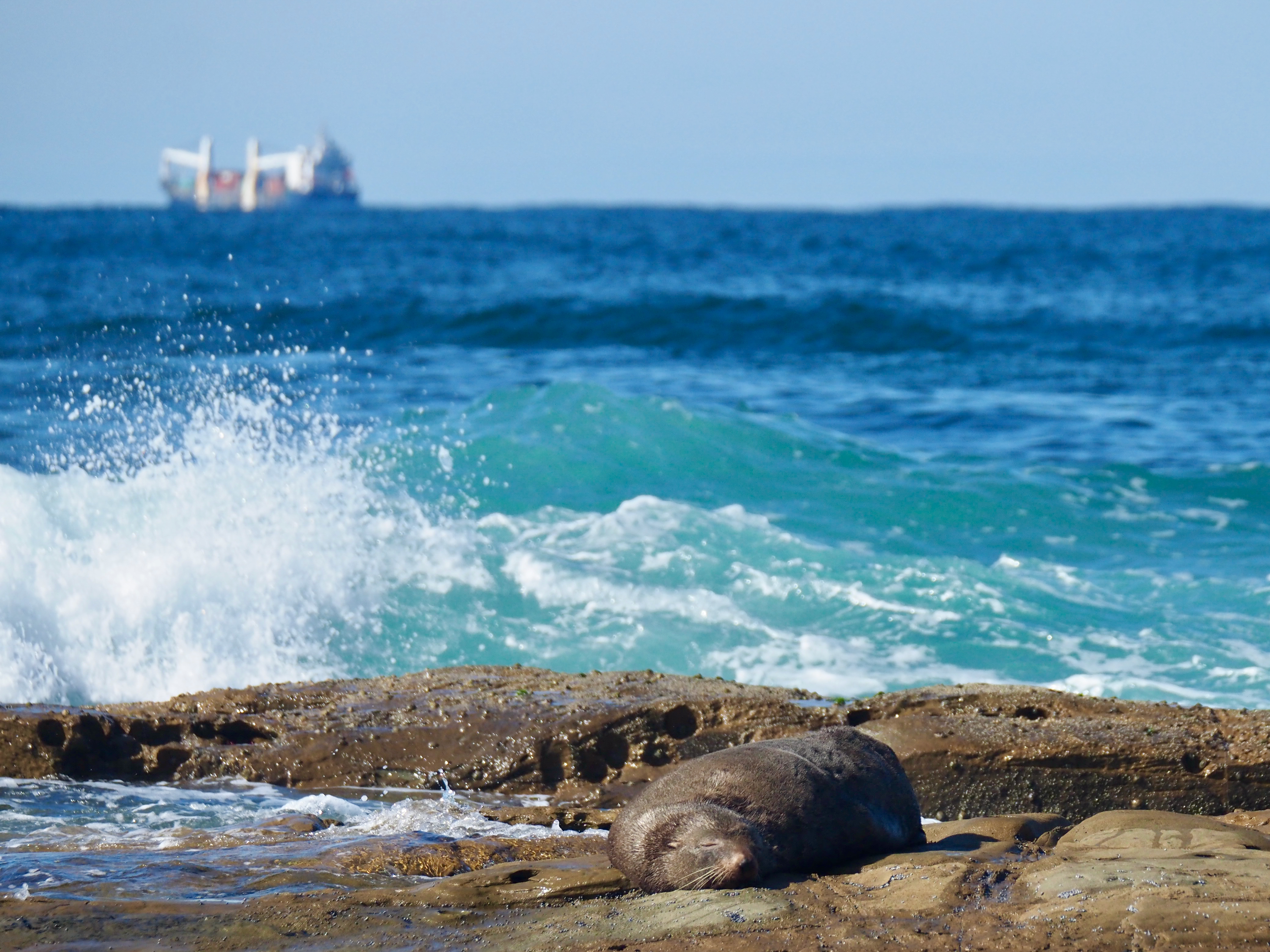 Nature Notes: Friday 13th May  post image