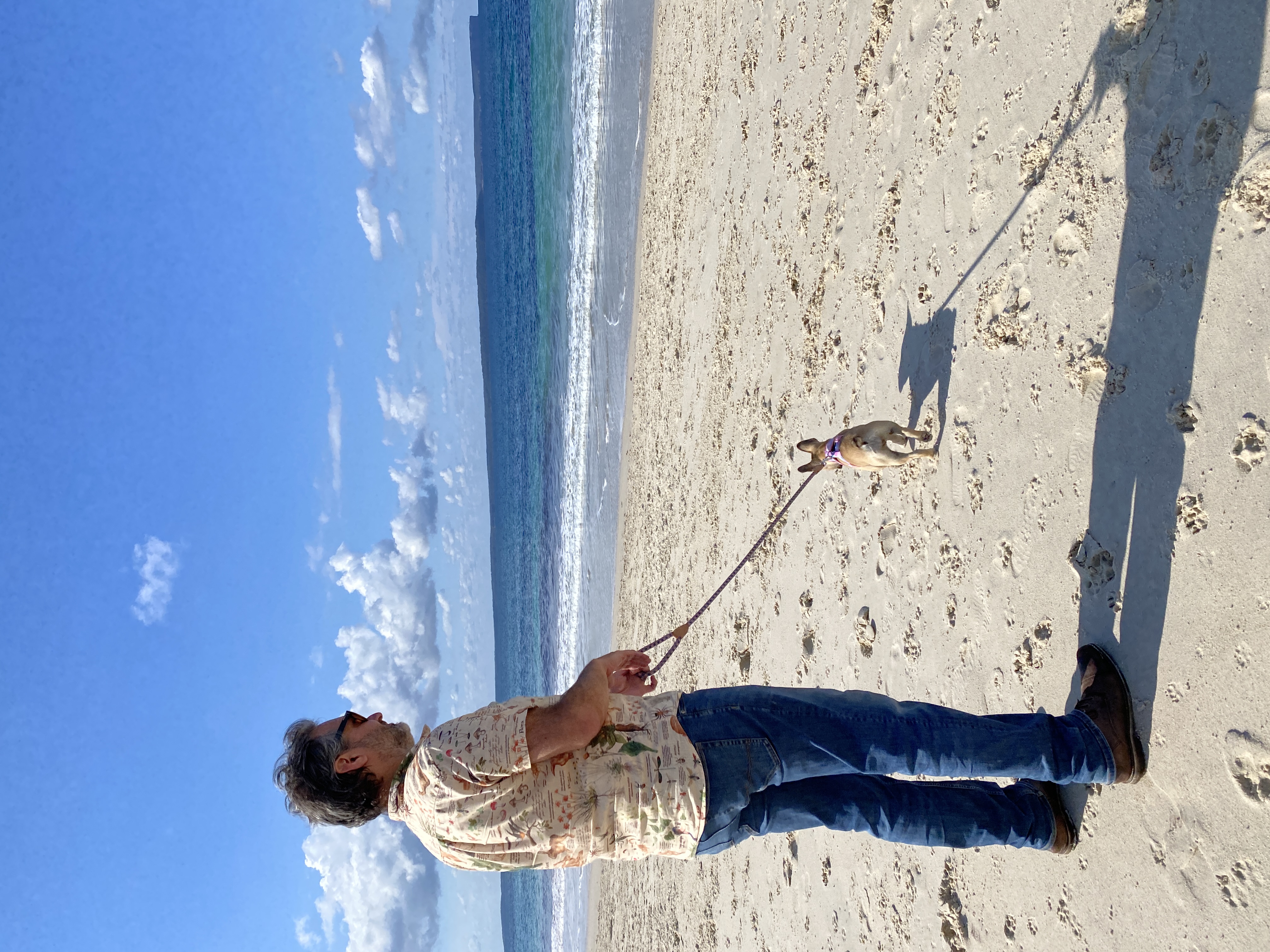 Have paws, will travel: discover dog-friendly Jervis Bay