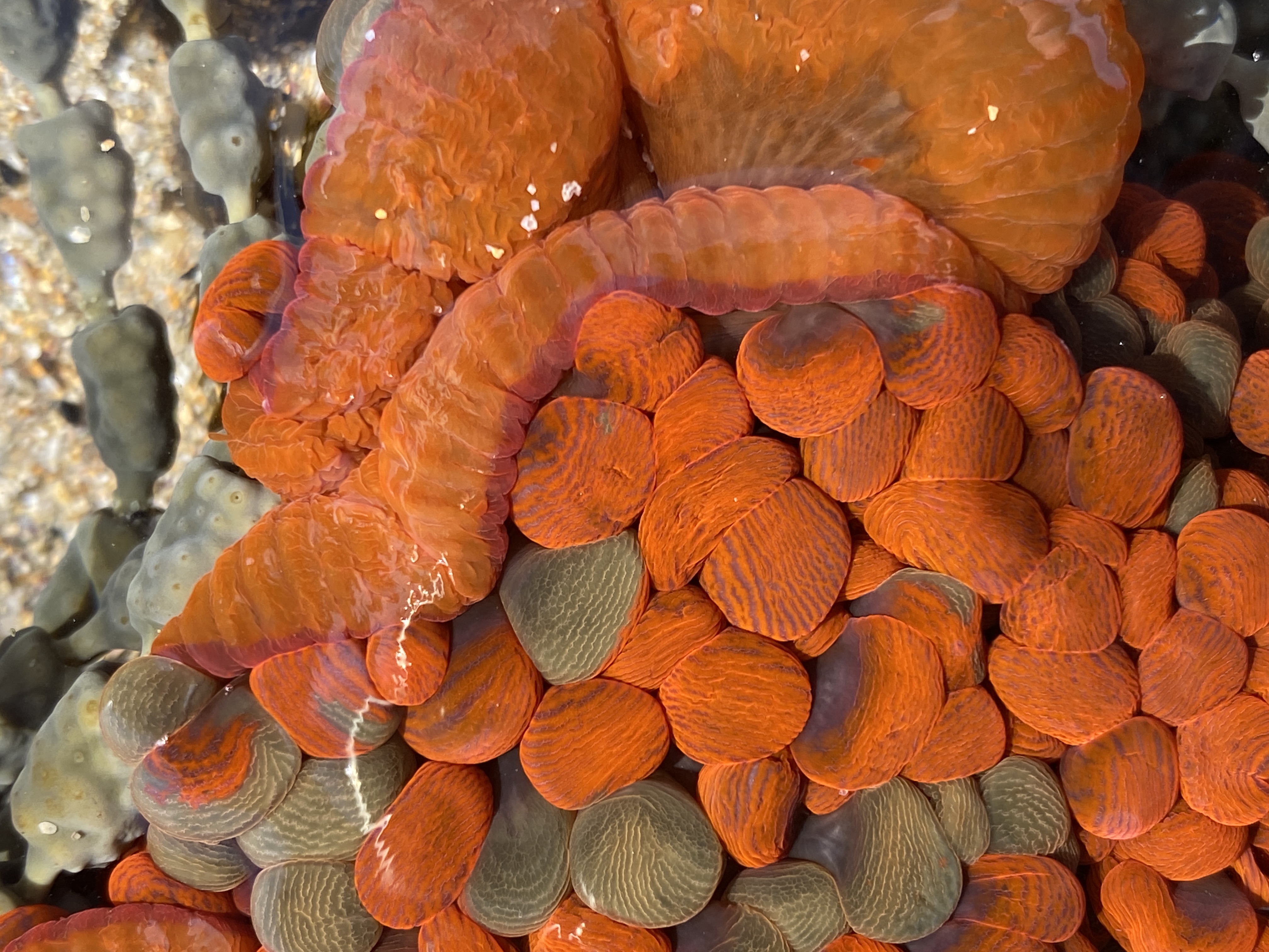 'I thought I’d choose something that floats, Because soon we’ll all be needing boats'  post image