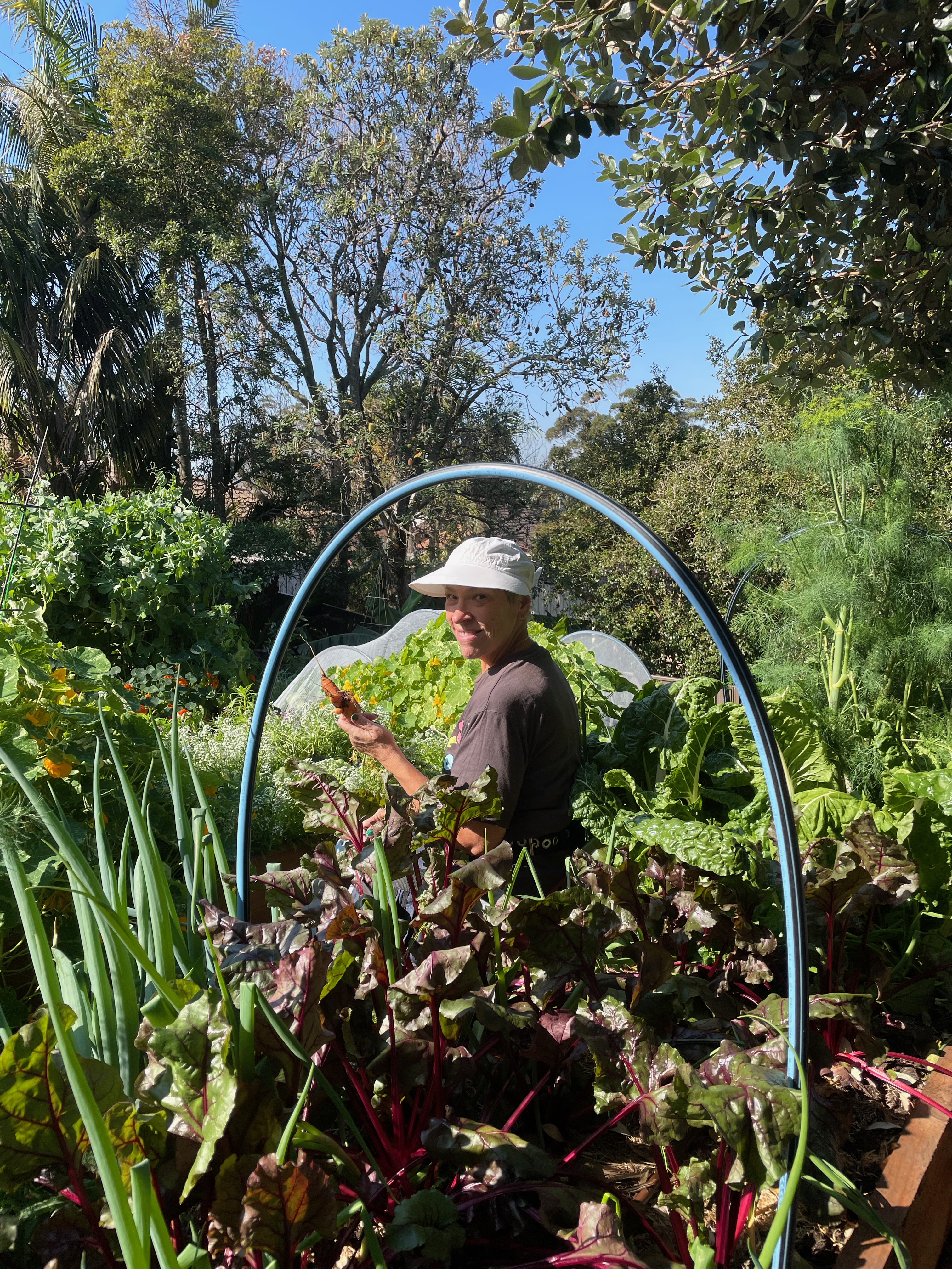Explore Marina's Patch on the Illawarra Edible Garden Trail  post image