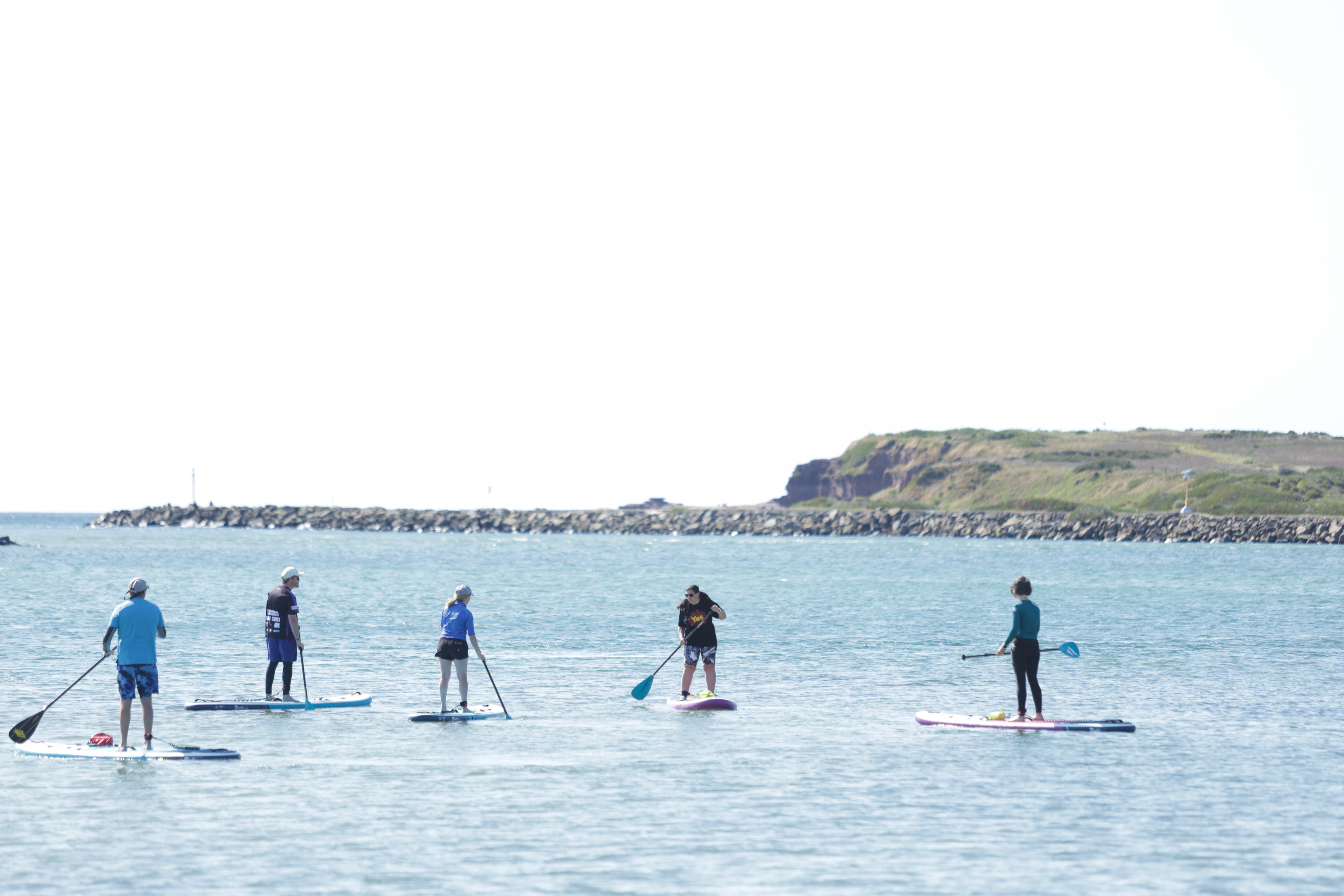 Volunteer power achieved rare Yes in Cunningham  post image