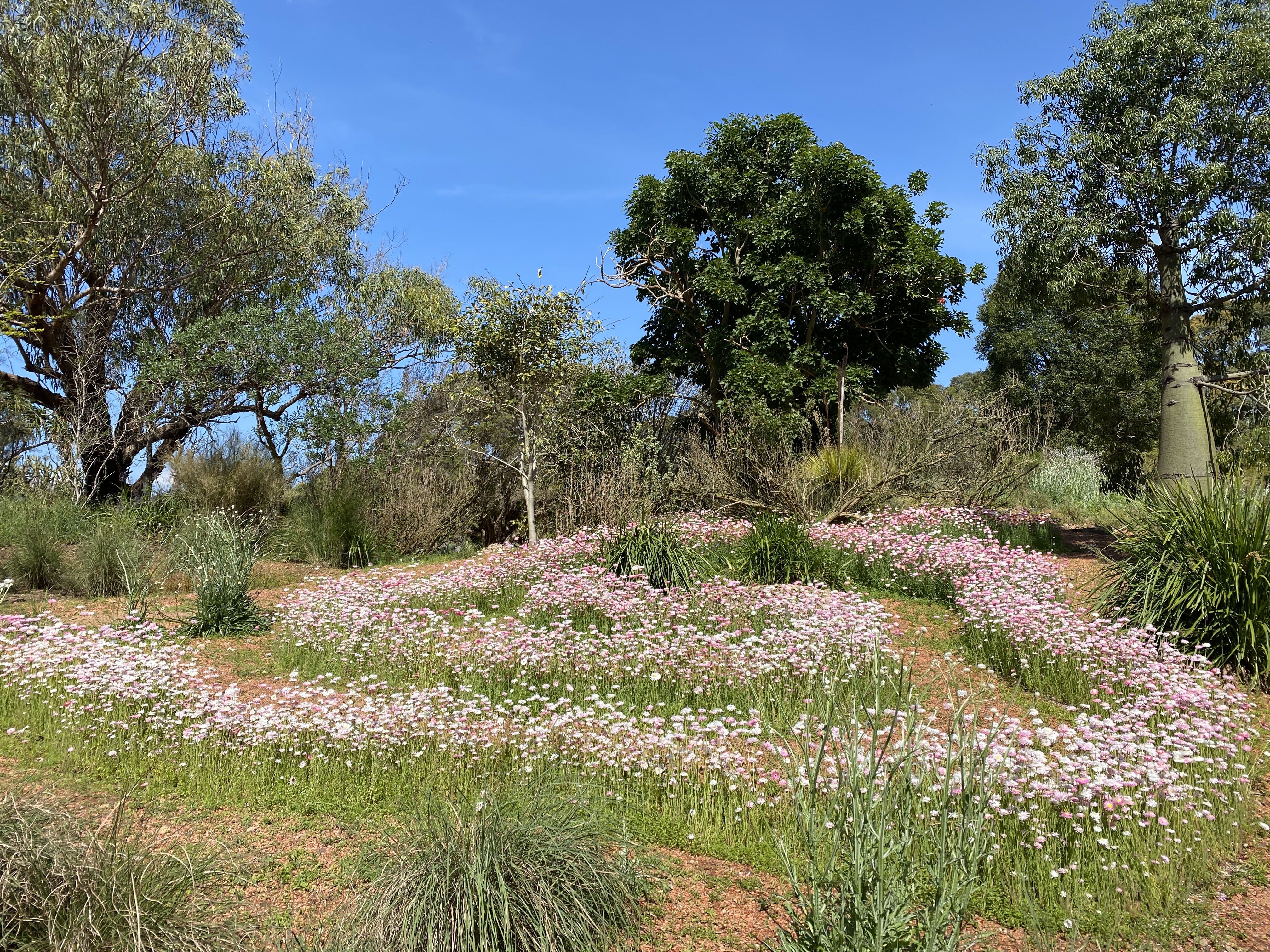 Hello, Wednesday readers