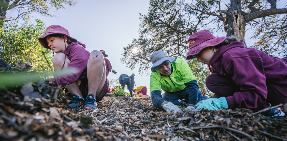 Plants and Poems! Students’ creative roots help grow Urban Forest post image