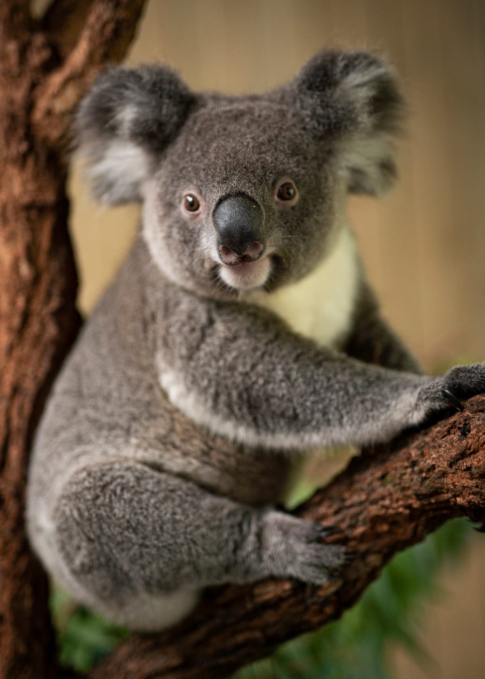 Destination Wollongong's Guide to the Week post image