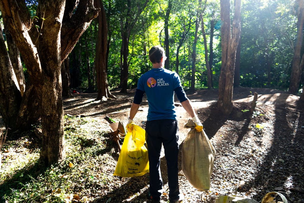 TRACTION clean-up returns to the Illawarra post image