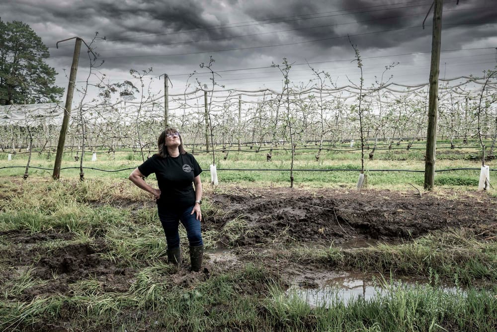 Long wet 'worse than Covid' for local farmers post image