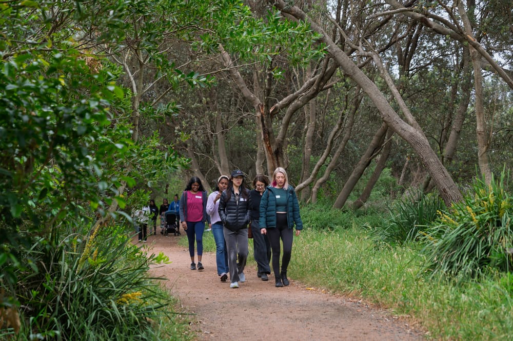 Networking on the move  reveals pathways for women in STEMM post image