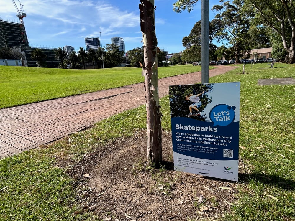 Forum calls to put the brakes on MacCabe Park skate park until a detailed master plan has been completed post image