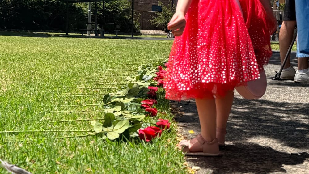 After Rose Vigil, city lights up with symbolic acts against gendered violence post image