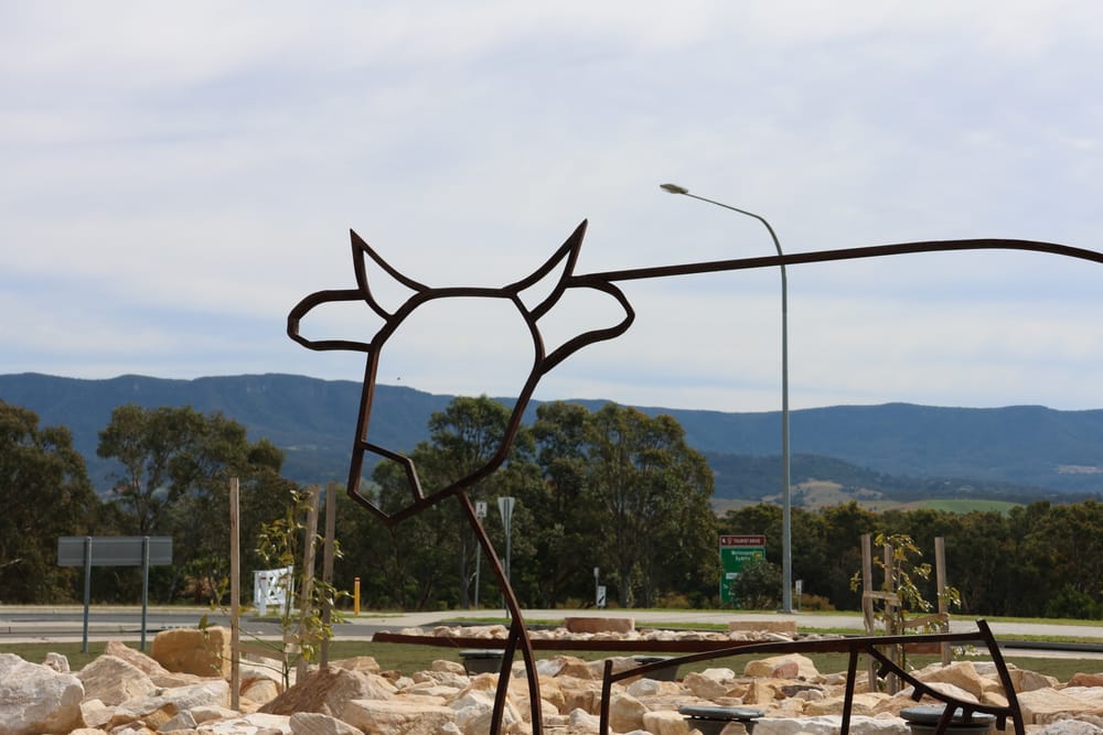 Cow-a-bout that post image