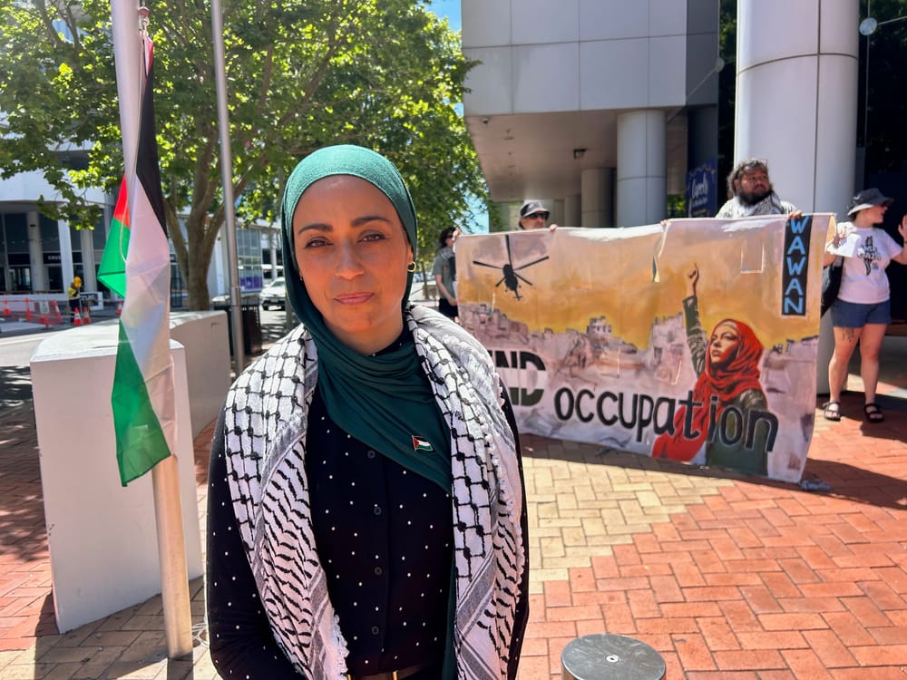 Council flying Palestine flag 'a significant and meaningful event' – if hastily organised post image