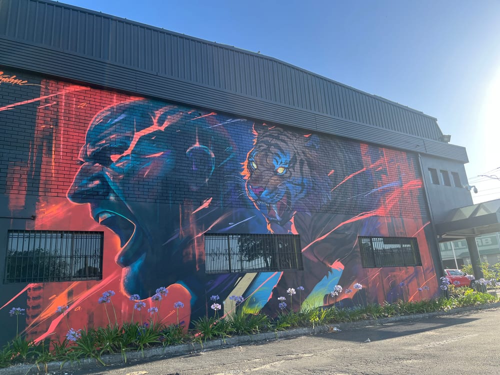 World champ Volkanovski leads MMA charge in the Illawarra post image