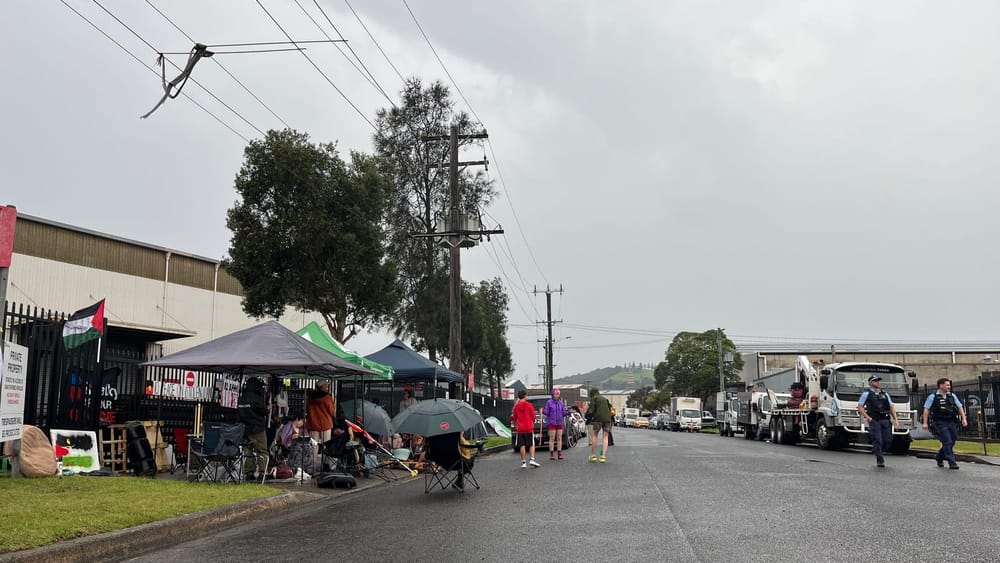 Wollongong's Friends of Palestine hold 'family friendly' picket post image