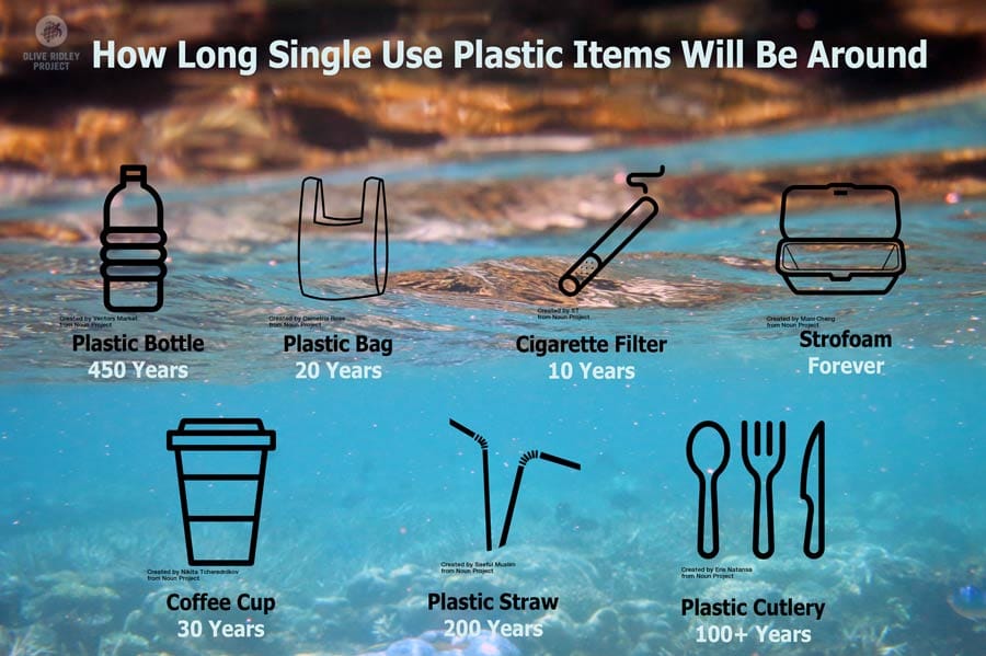 Let's quit the death cycle of plastic post image