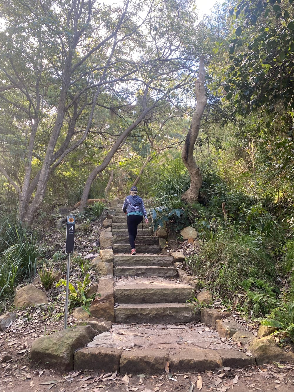 Stairway to Bald Hill heaven: First look at new walk to Stanwell Park post image