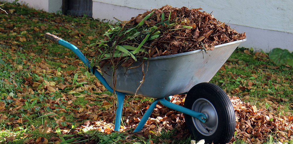 Next garden organics drop off is this weekend post image